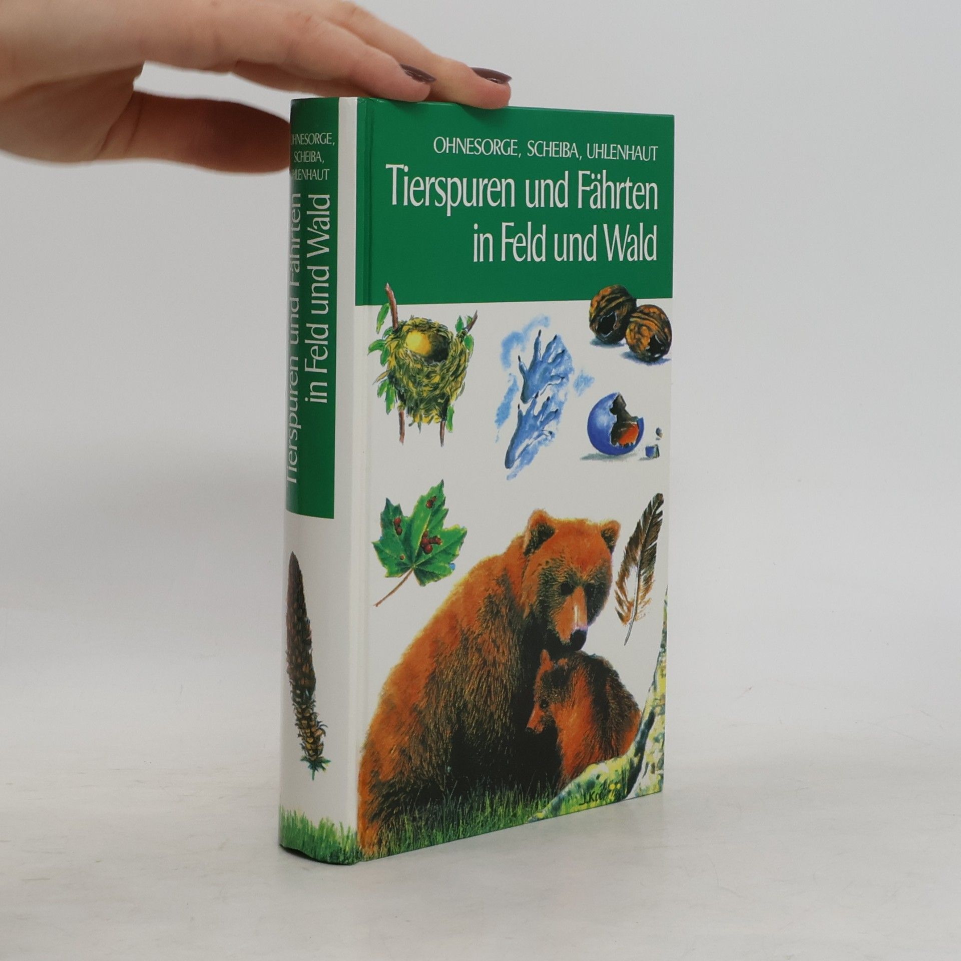Gerd Ohnesorge Tierspuren und Fährten in Feld und Wald