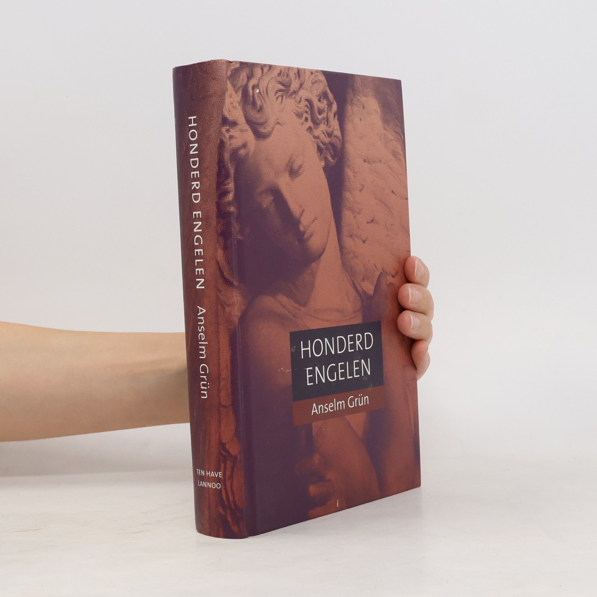 Anselm Grün Honderd engelen