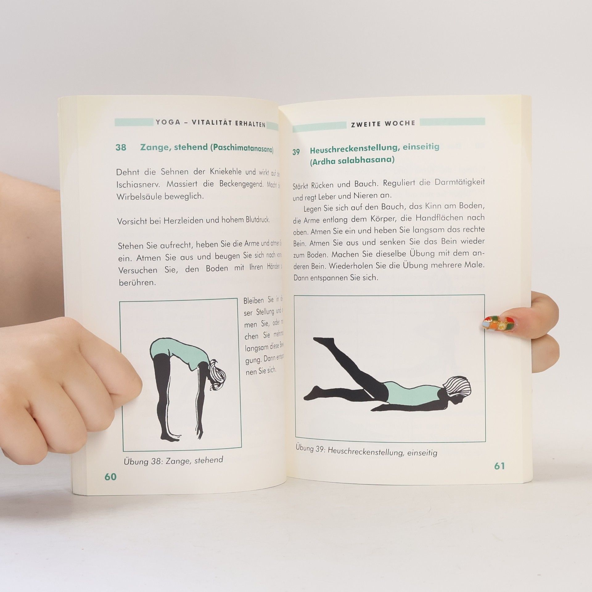 Helga Polet Kittler Yoga - Vitalität erhalten