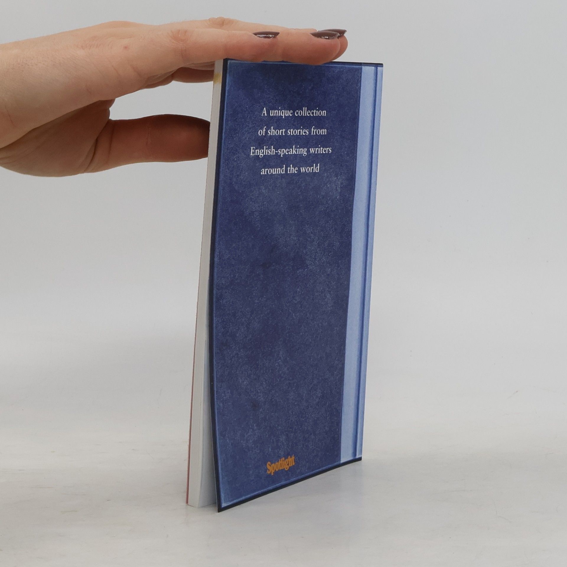 Wolfgang Stock The World of Short Stories