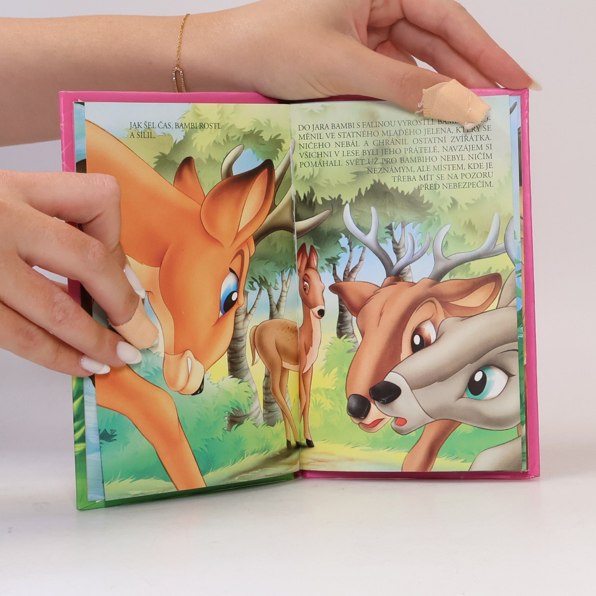 Kolektiv autorů Bambi