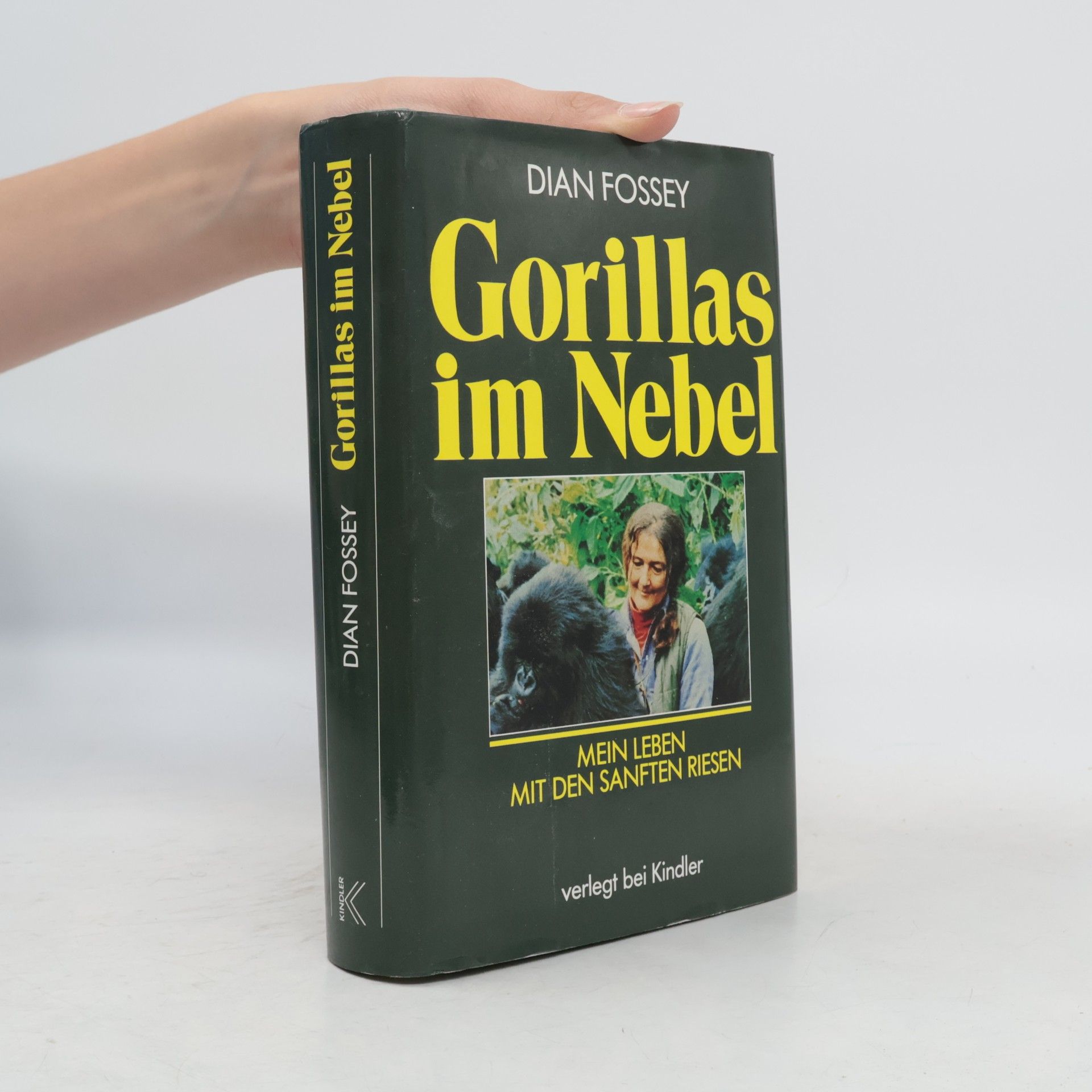 Dian Fossey Gorillas im Nebel