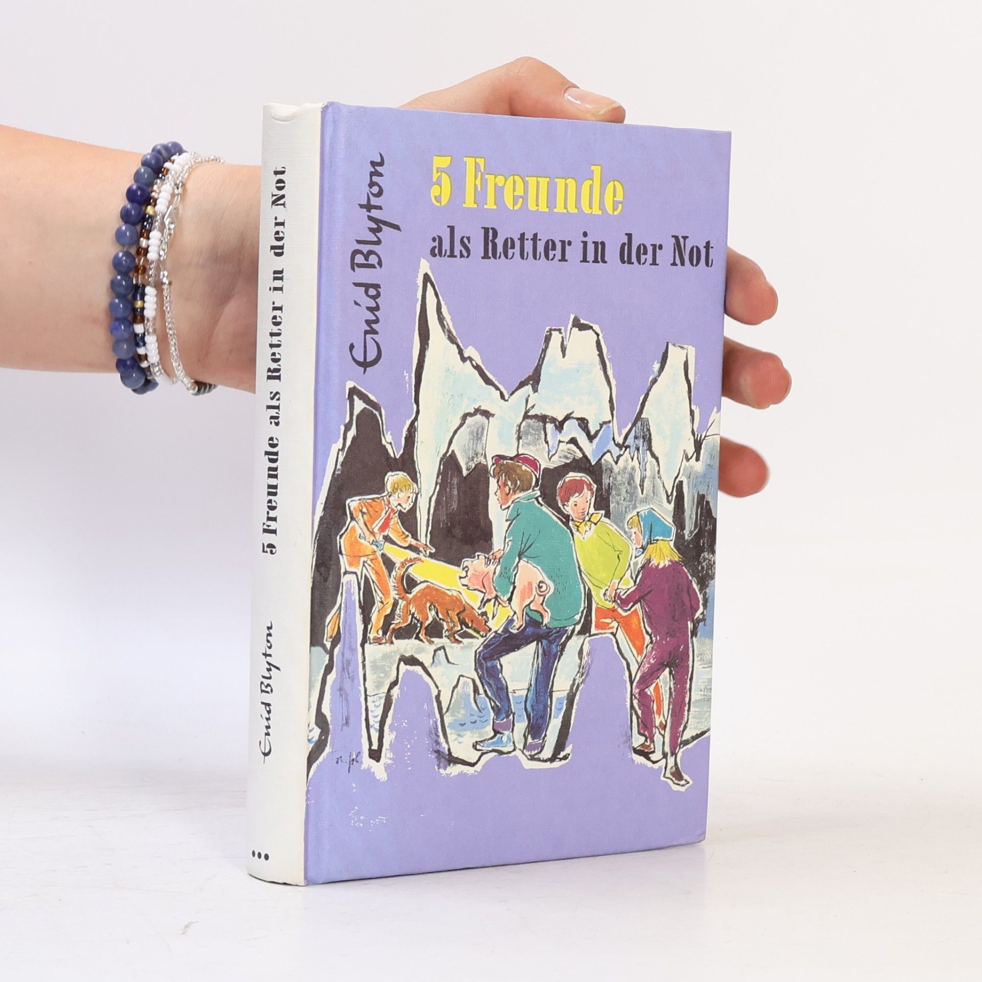 Enid Blyton 5 Freunde als Retter in der Not