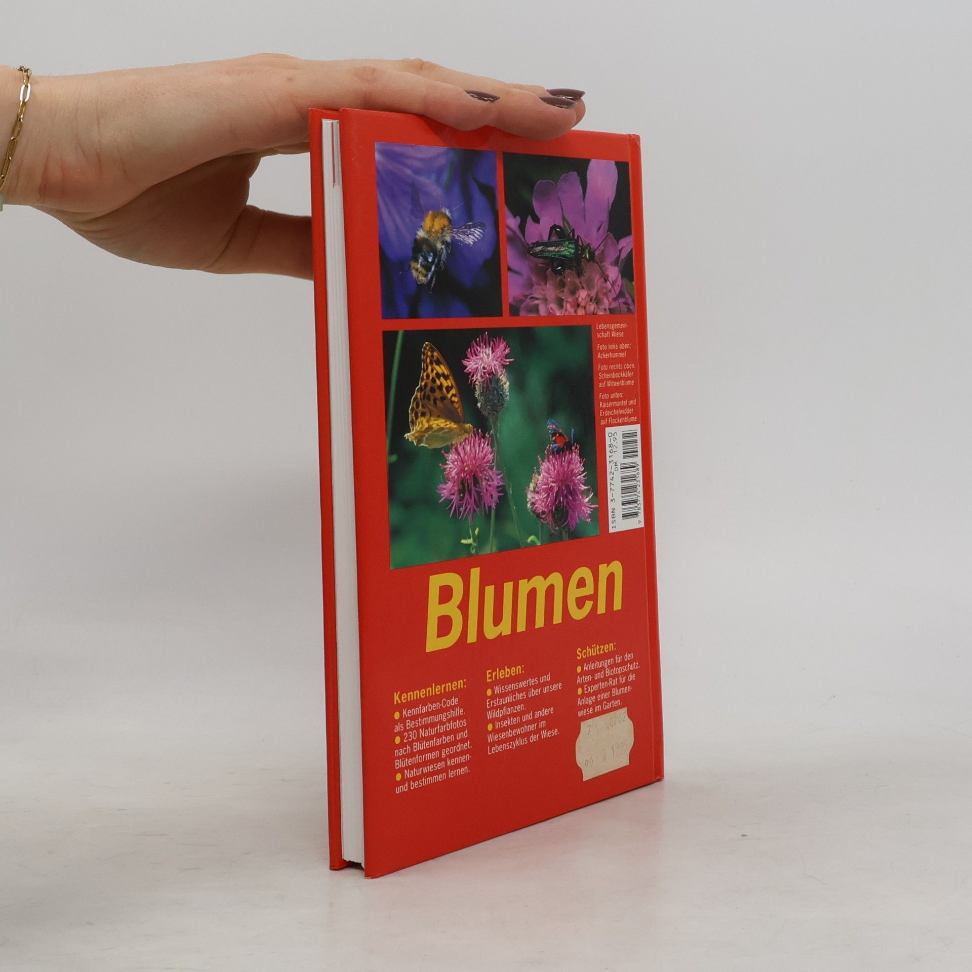 Bruno P. Kremer Blumen
