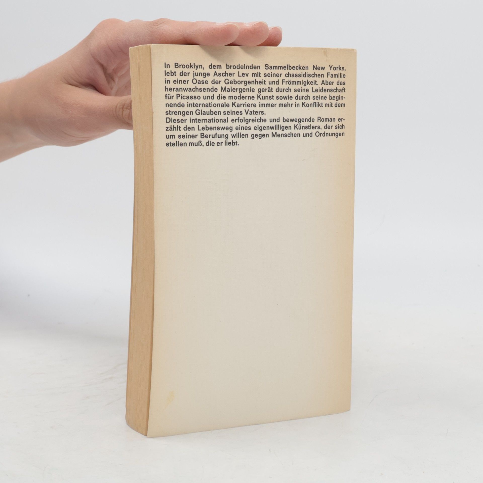 Chaim Potok Mein Name ist Ascher Lev