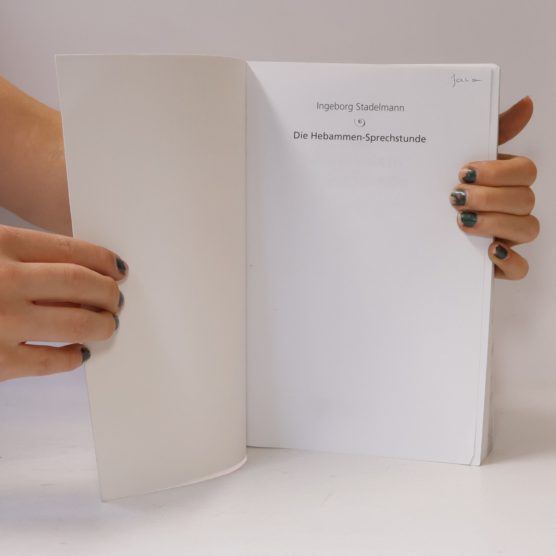 Ingeborg Stadelmann Die Hebammen - Sprechstunde