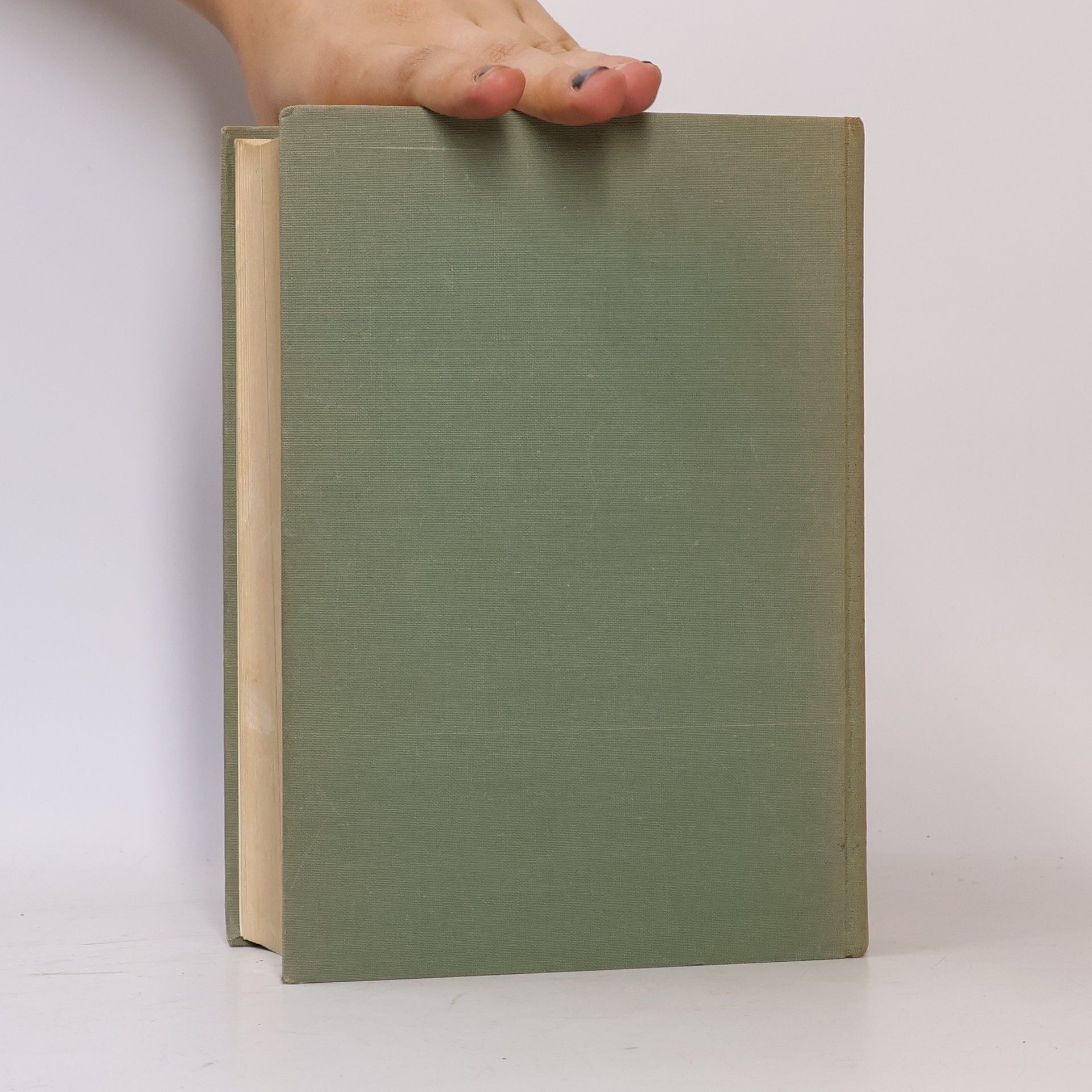 György Lukács Der junge Hegel