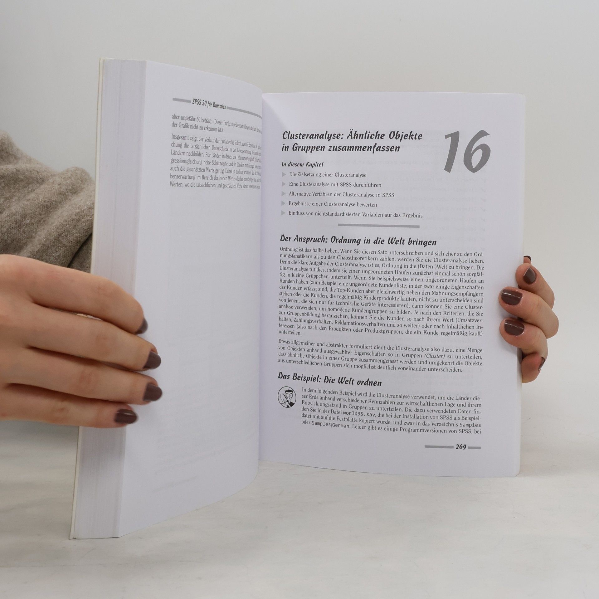 Felix Brosius SPSS 20 für Dummies