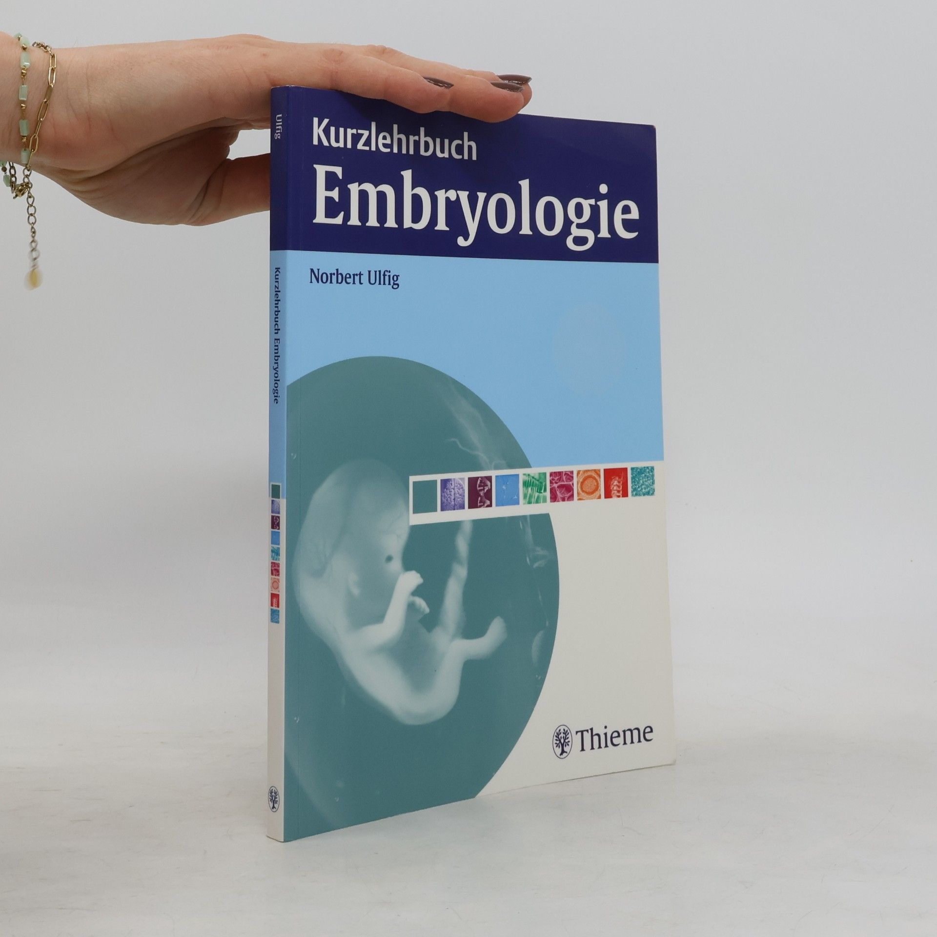 Norbert Ulfig Kurzlehrbuch Embryologie