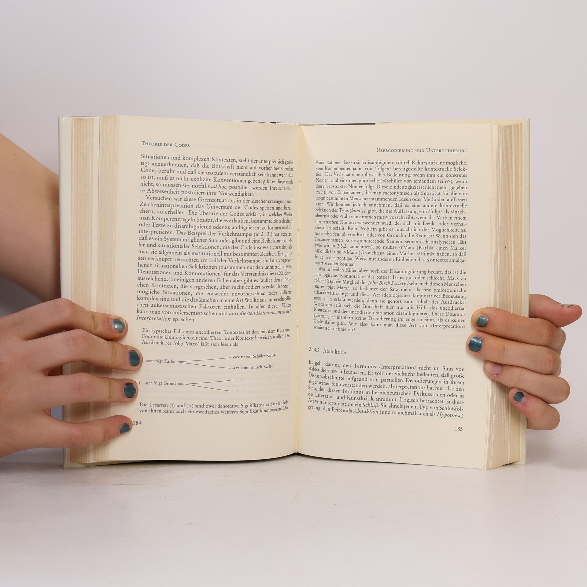 Umberto Eco Semiotik - Entwurf einer Theorie der Zeichen
