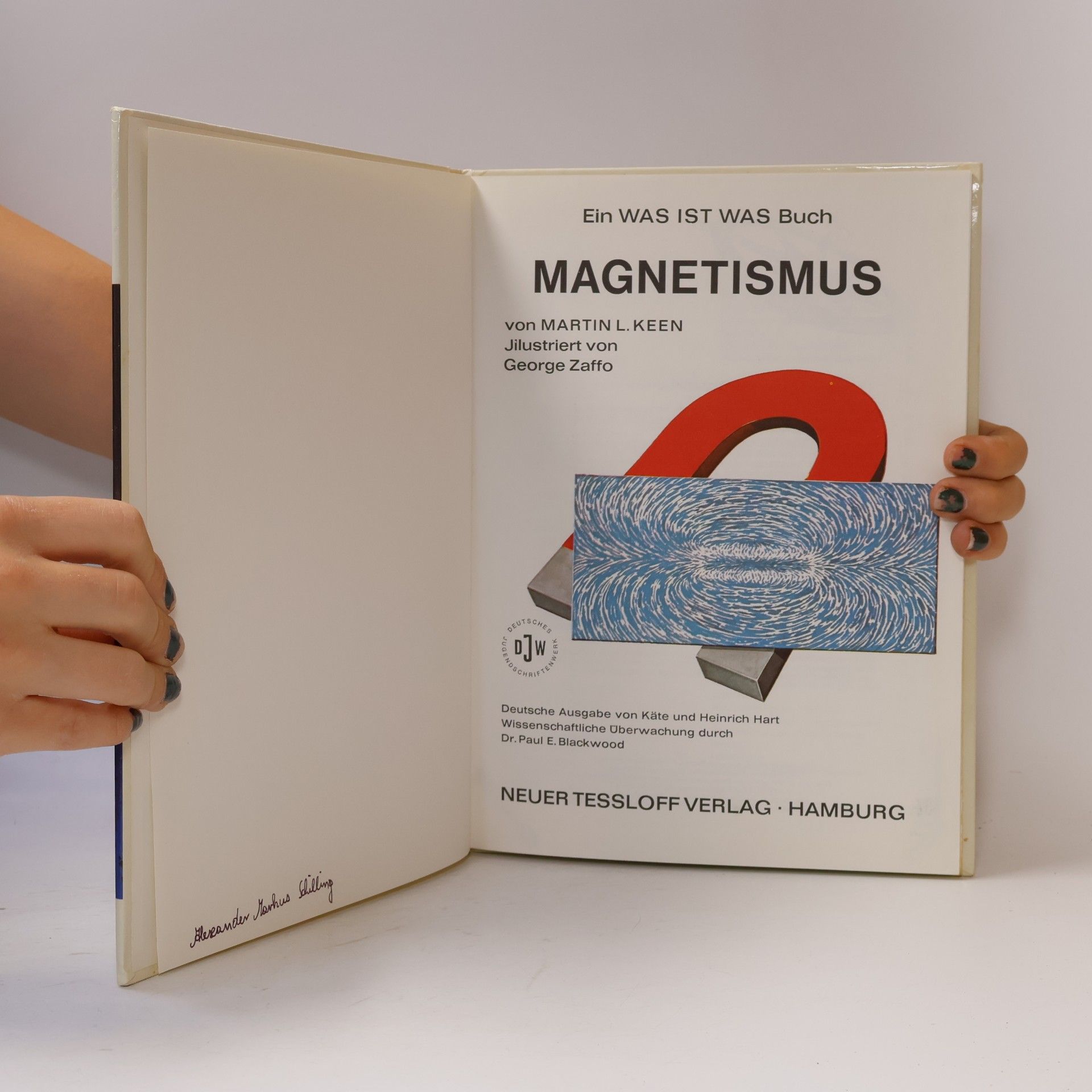 Otto Lührs Magnetismus