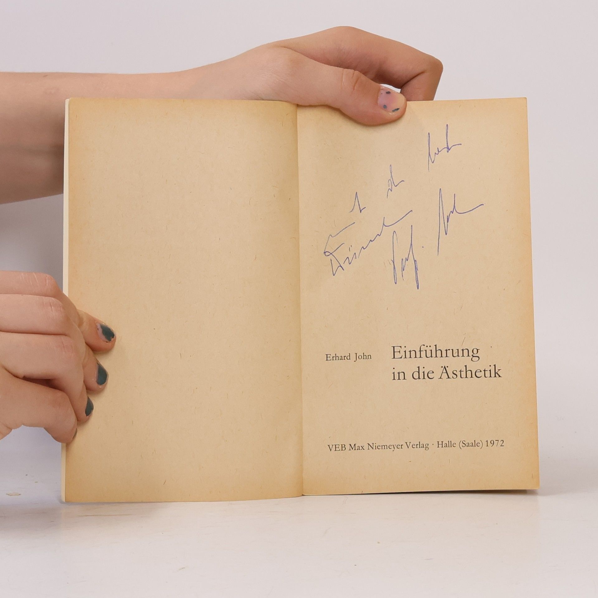 Erhard John Einführung in die Ästhetik