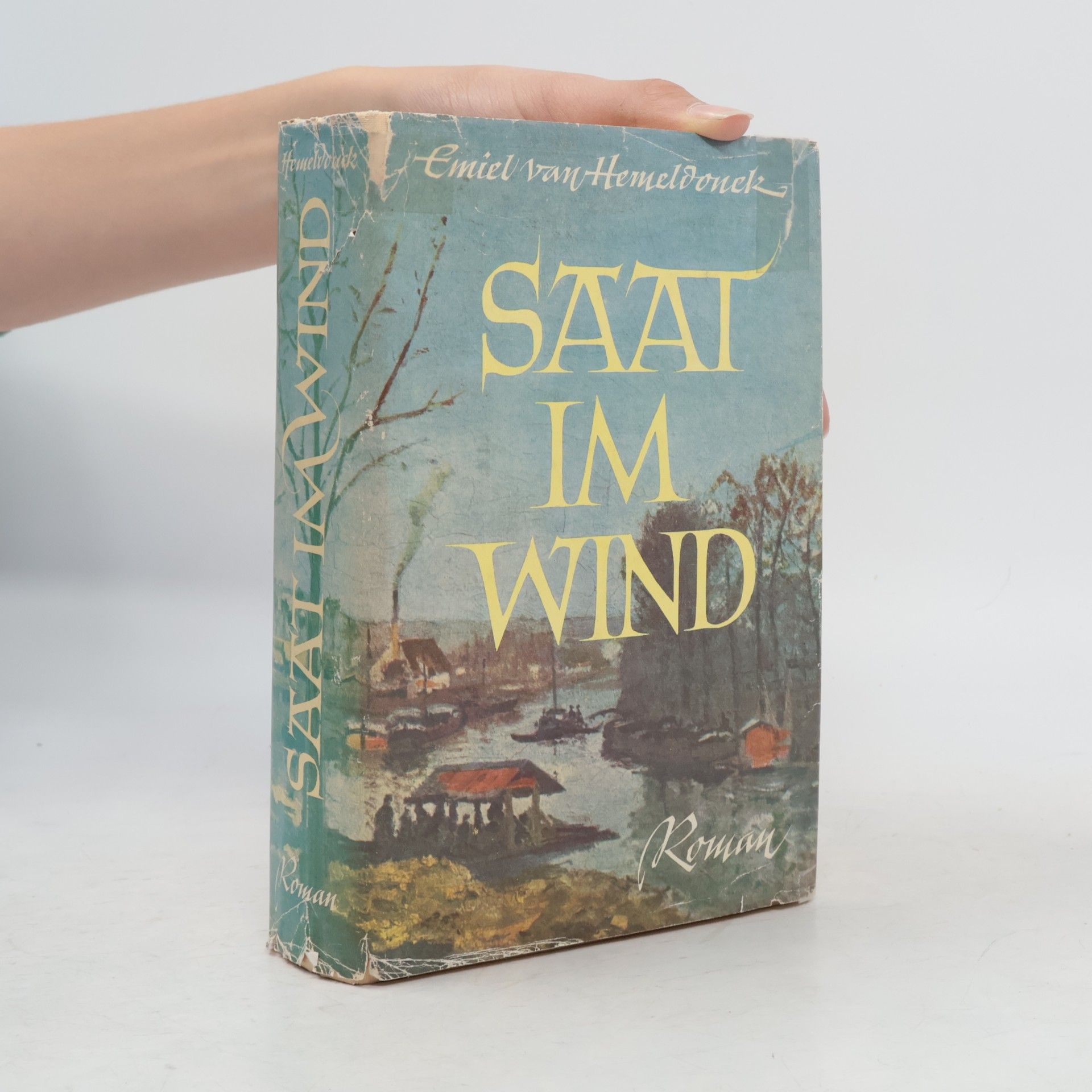 Emiel van Hemeldonck Saat im wind