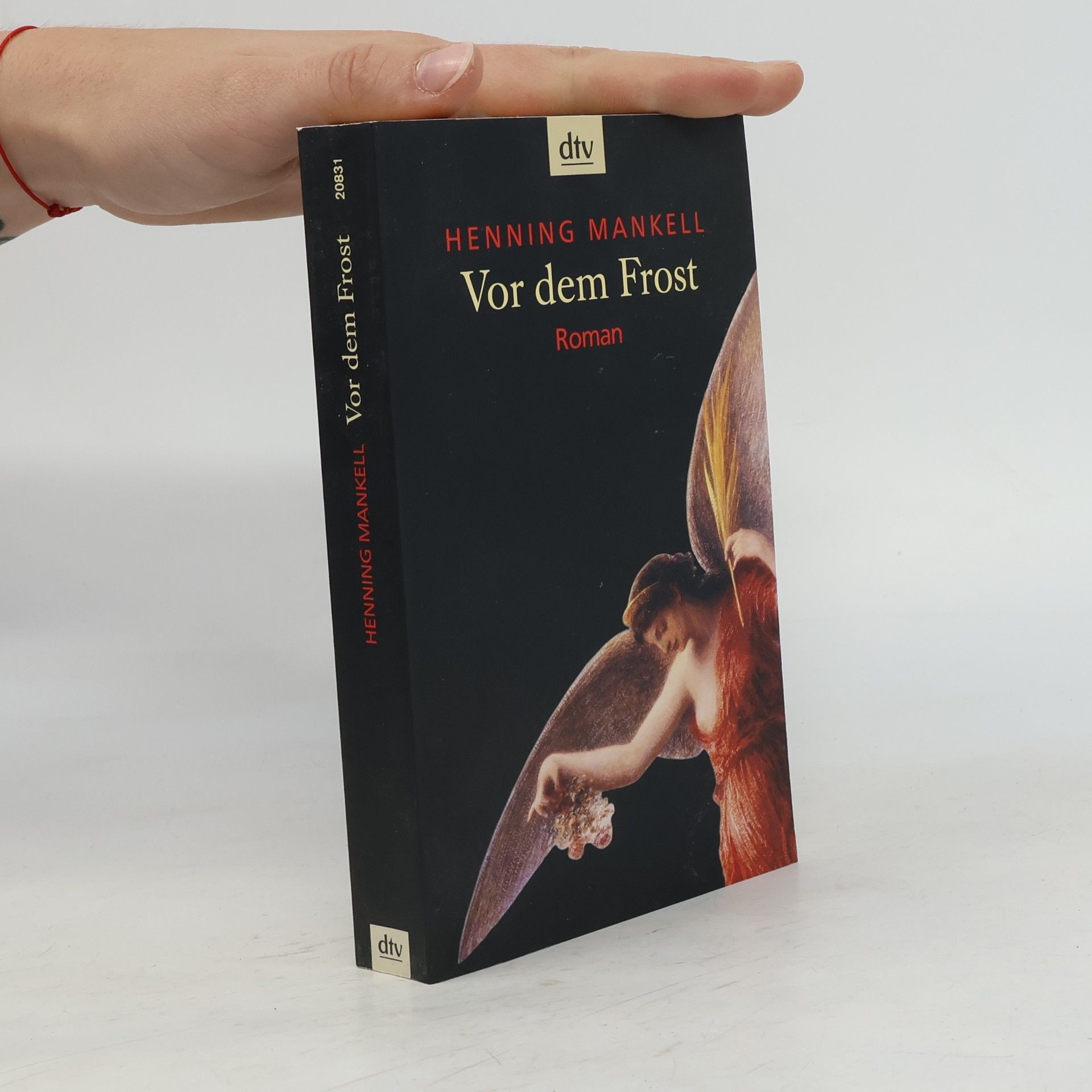 Henning Mankell Vor dem Frost