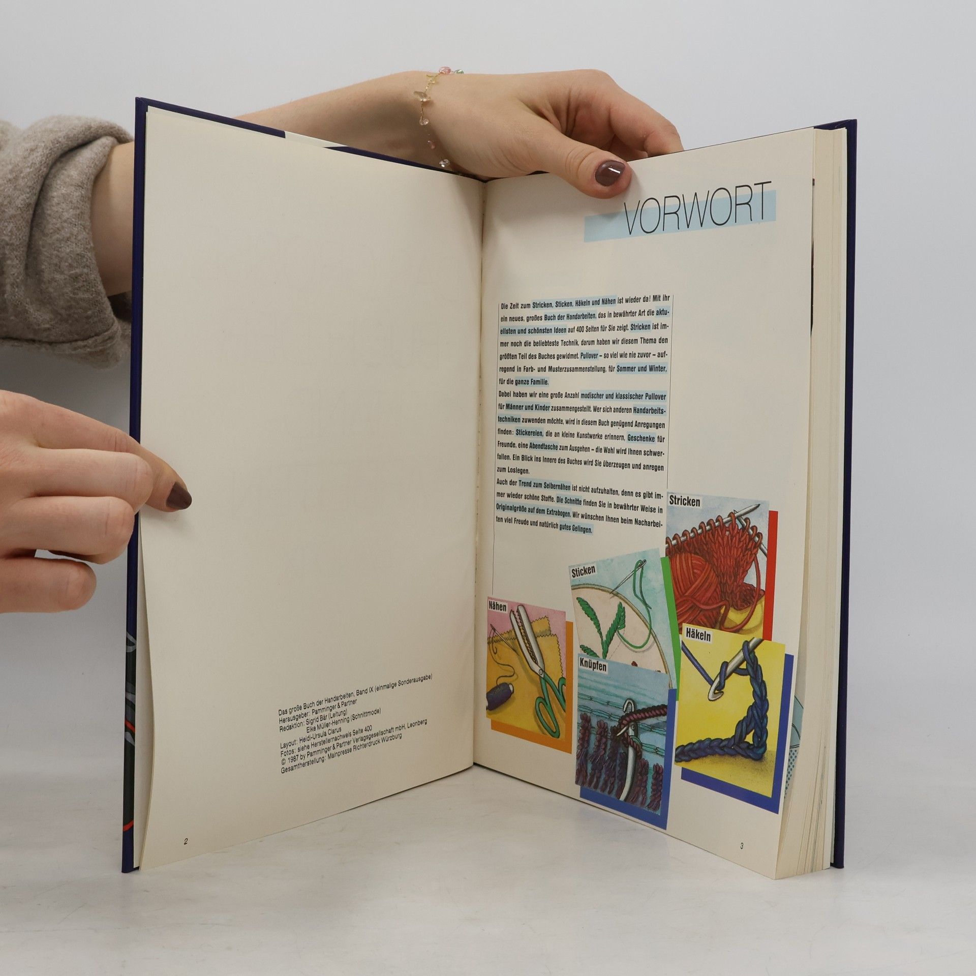 AA.VV. Das große Buch der Handarbeiten IX.