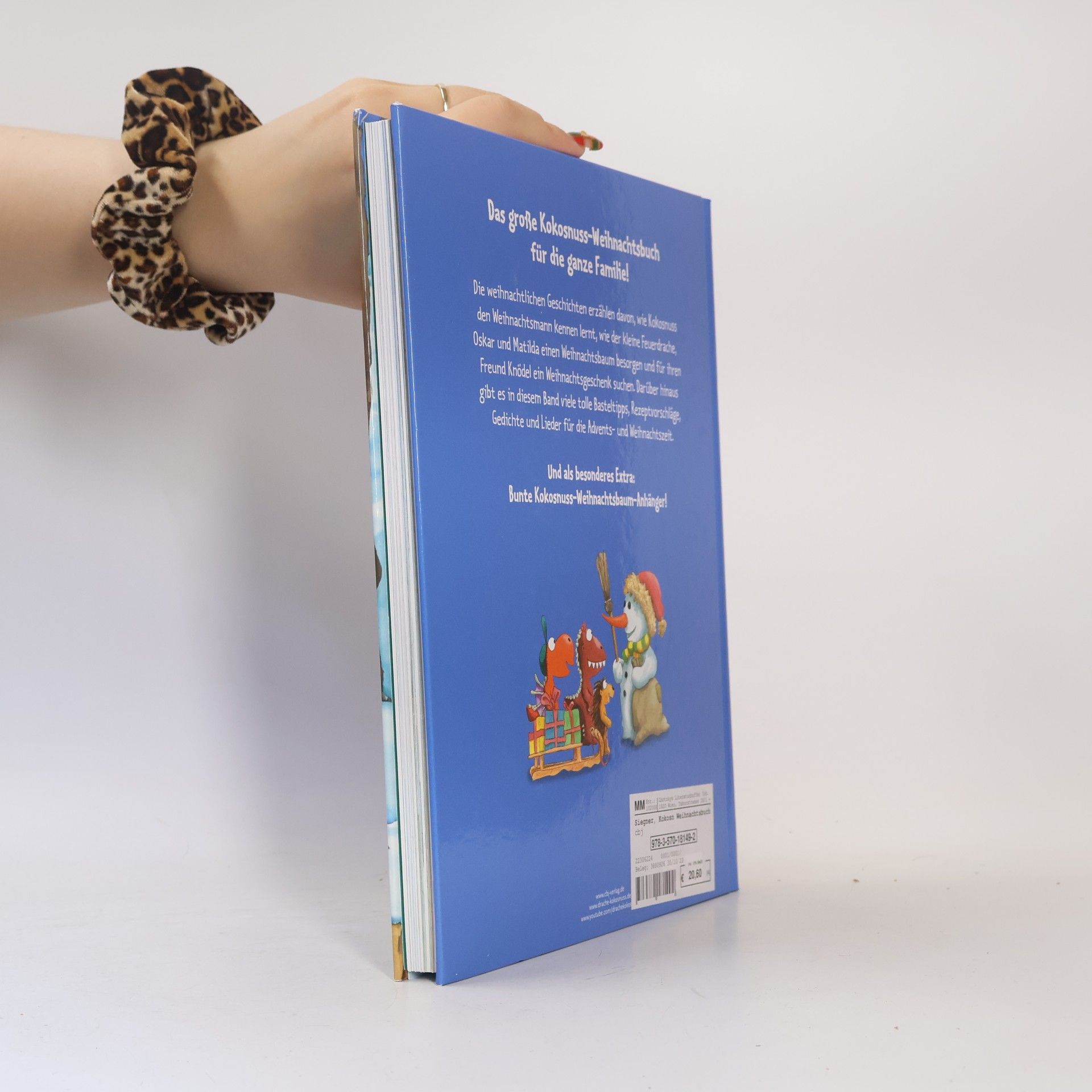 Ingo Seigner Der kleine Drache Kokosnuss - Das große Weihnachtsbuch