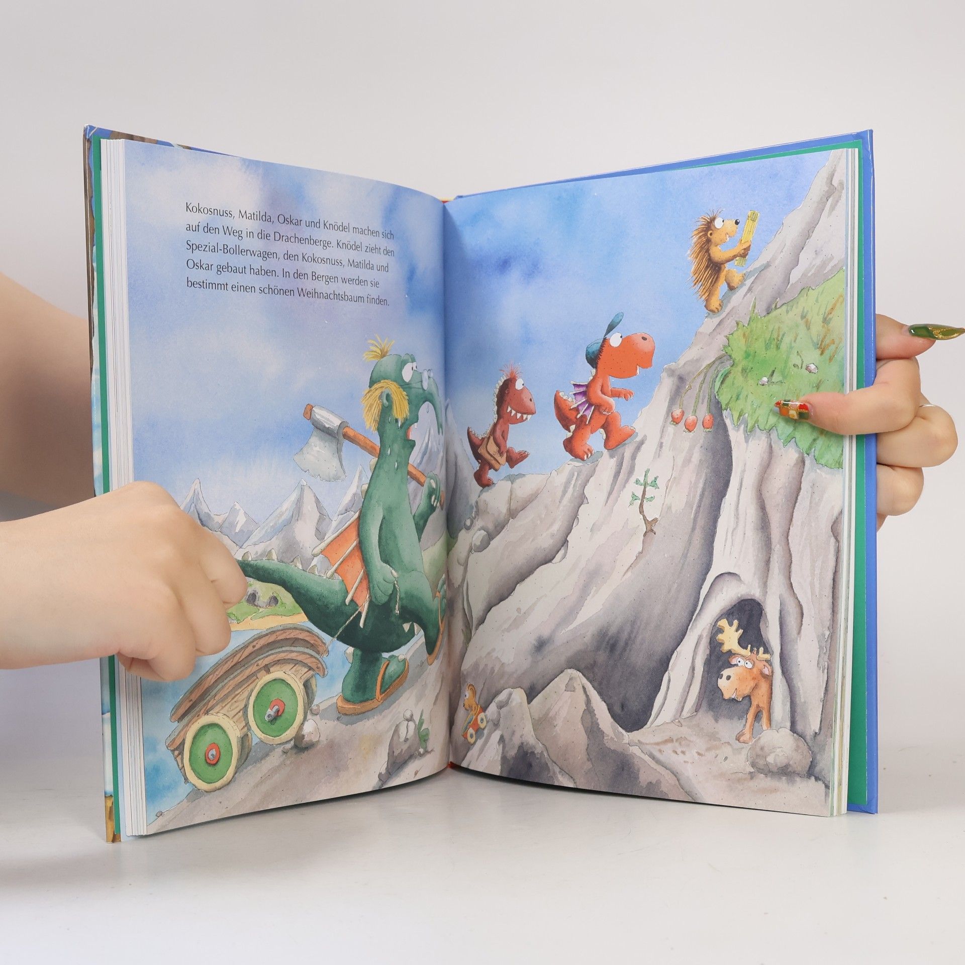 Ingo Seigner Der kleine Drache Kokosnuss - Das große Weihnachtsbuch