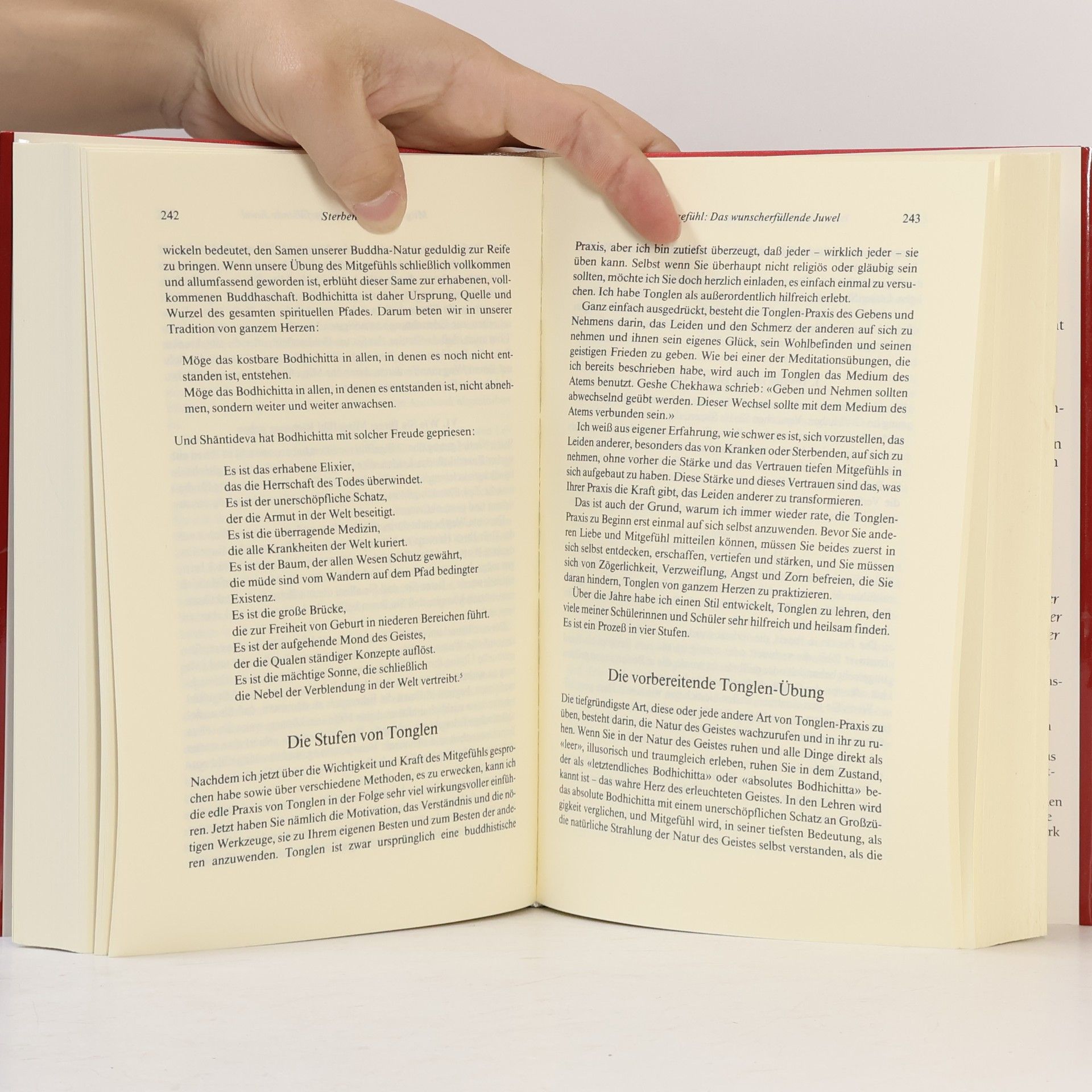 Sogyal Rinpoche Das Tibetische Buch vom Leben und vom Sterben