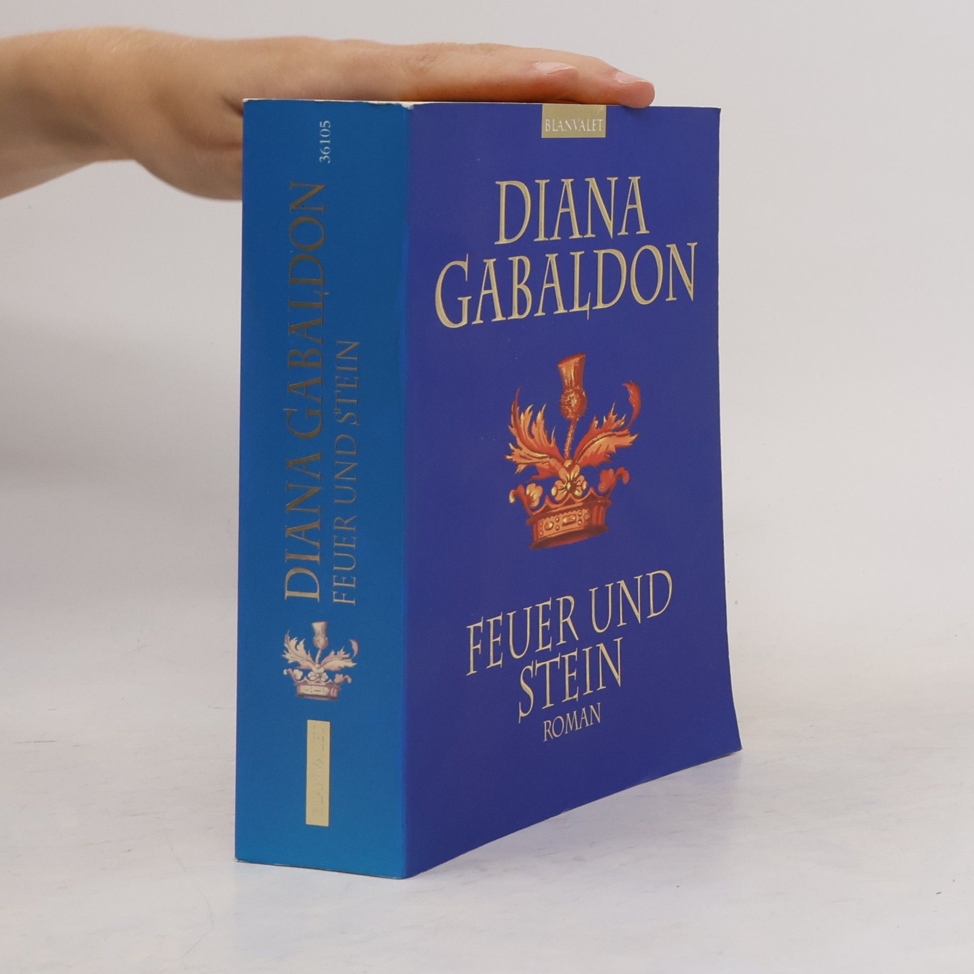 Diana Gabaldon Feuer und Stein