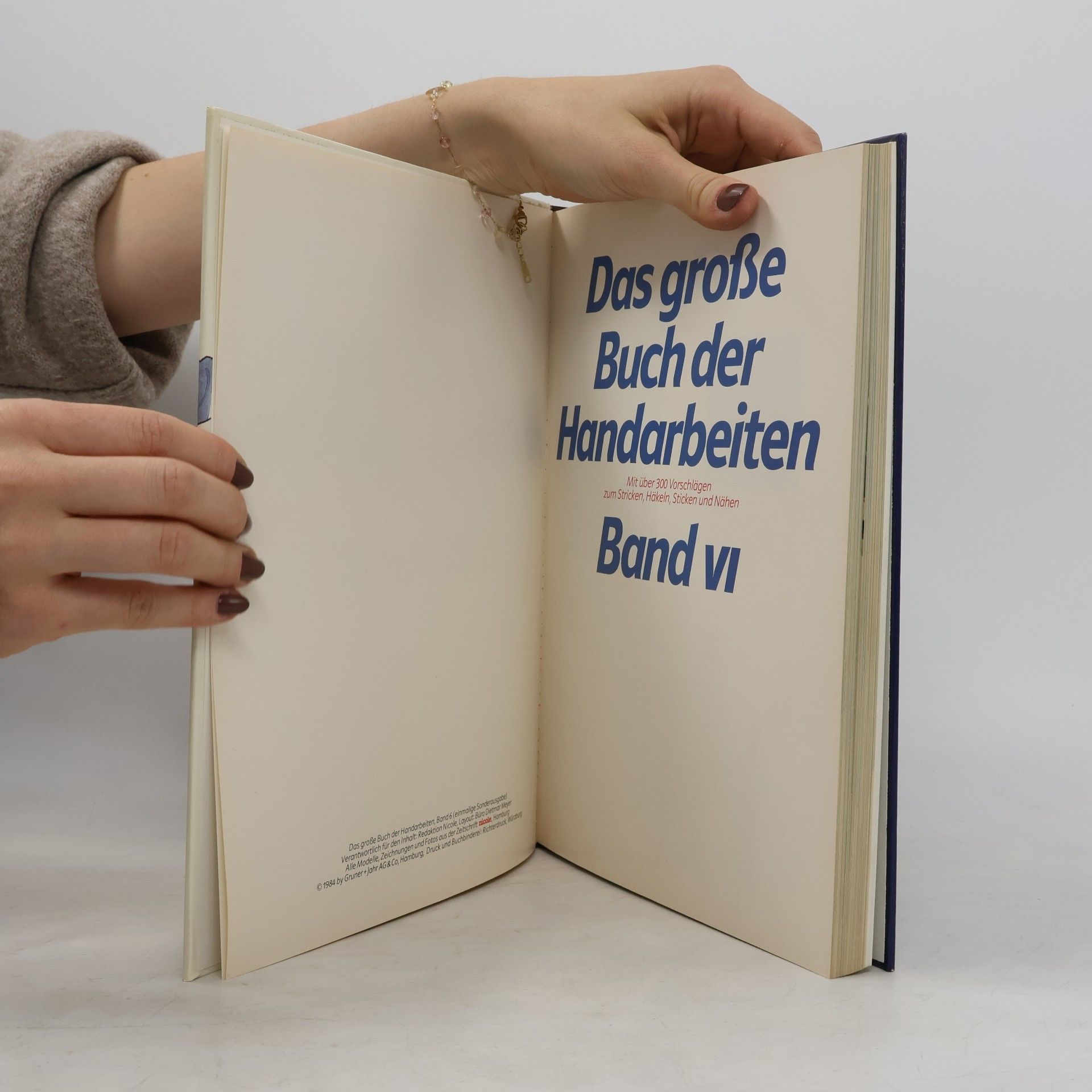 Autorenkollektiv Das große Buch der Handarbeiten VI