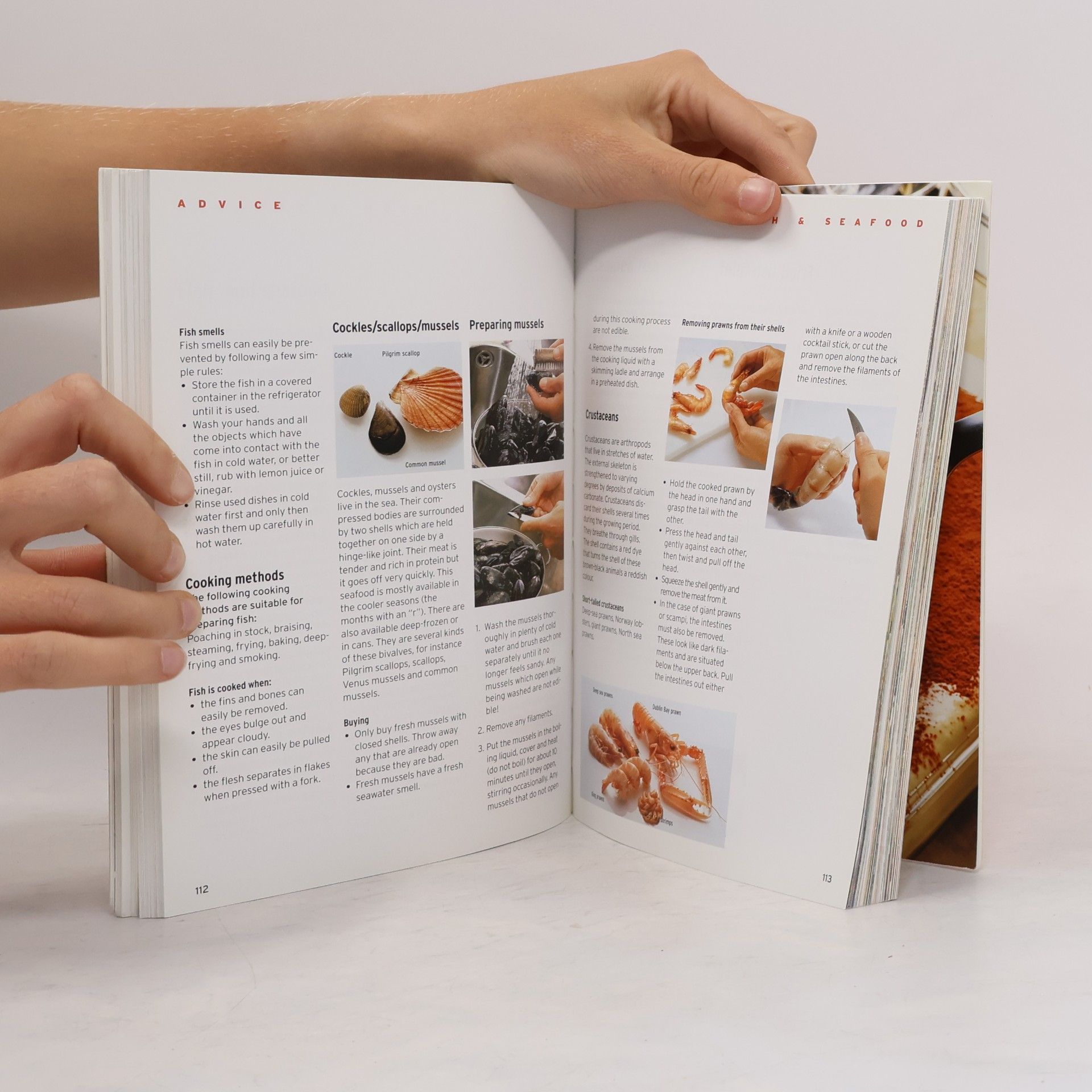 Sabine Puppe Dr. Oetker - German Cooking Today - Reiseausgabe
