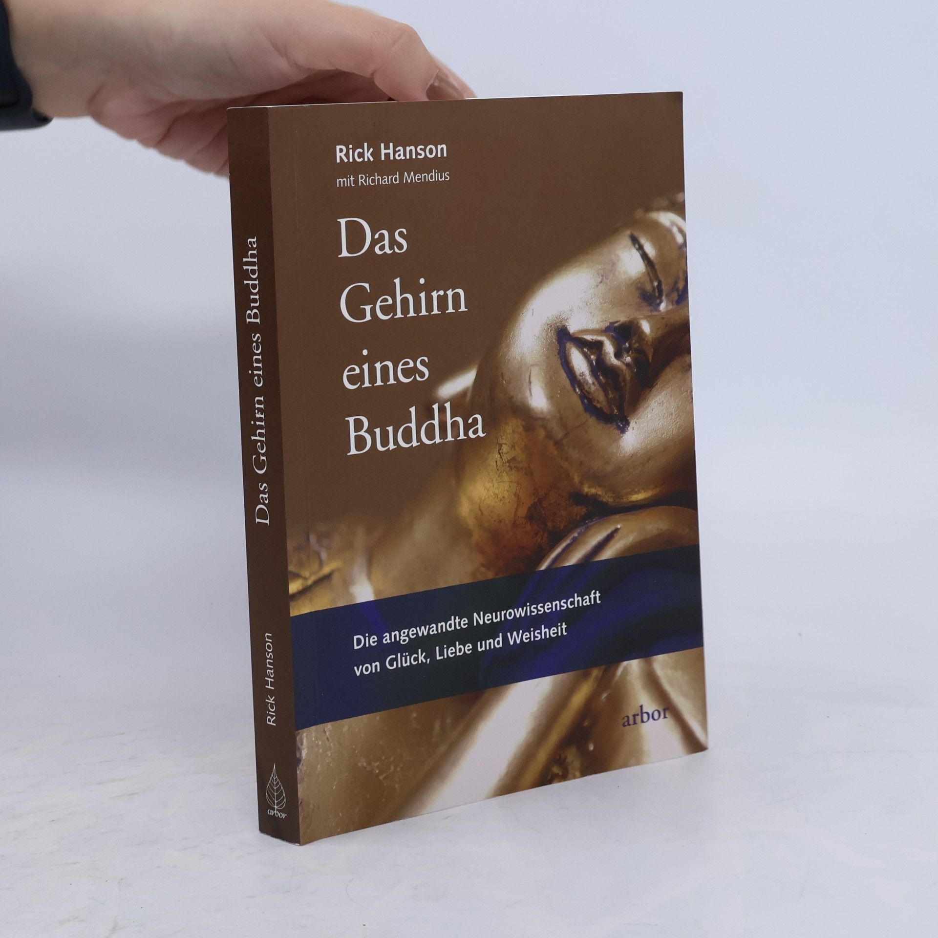 Rick hanson Das Gehirn eines Buddha