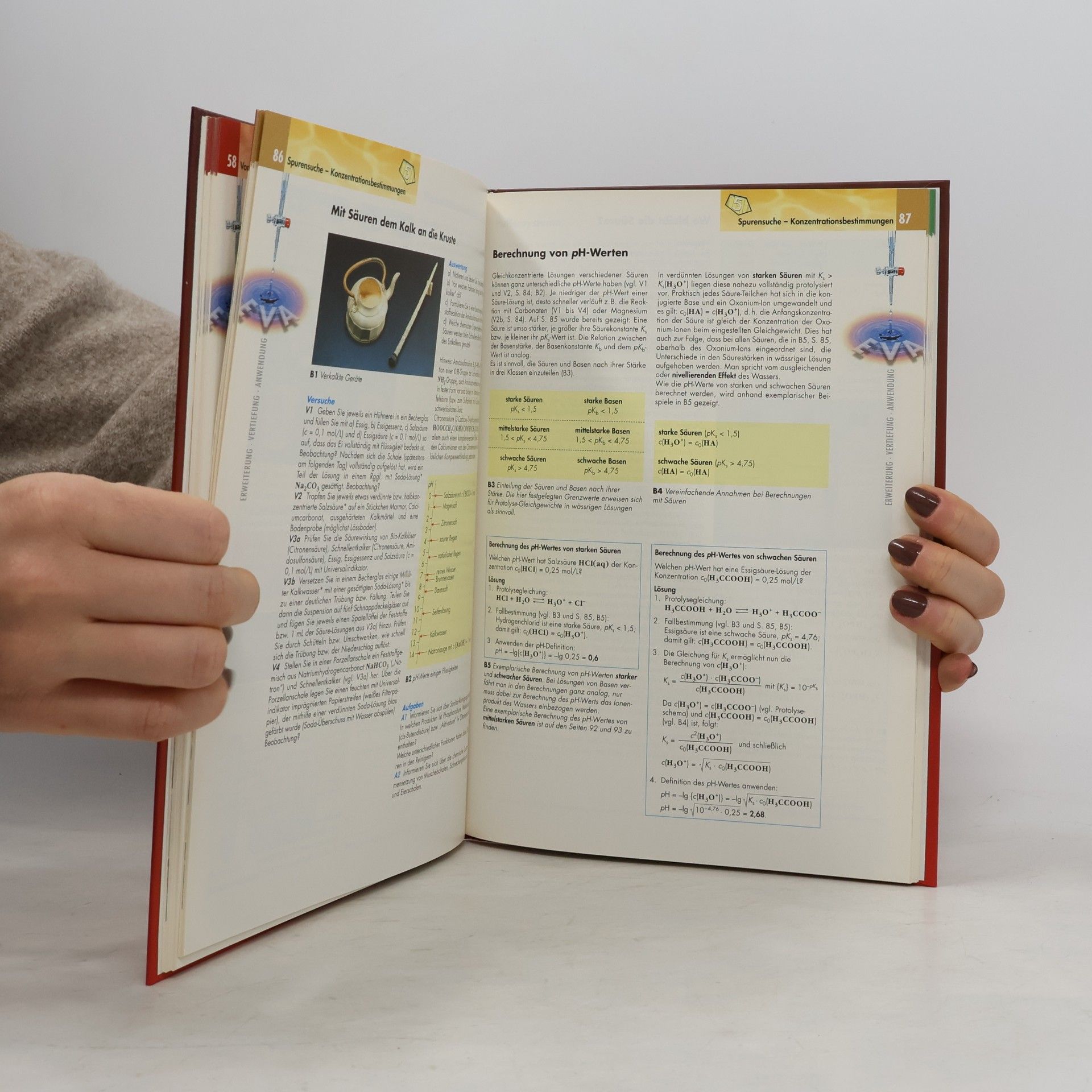Autorenkollektiv Chemie 2000+ 2