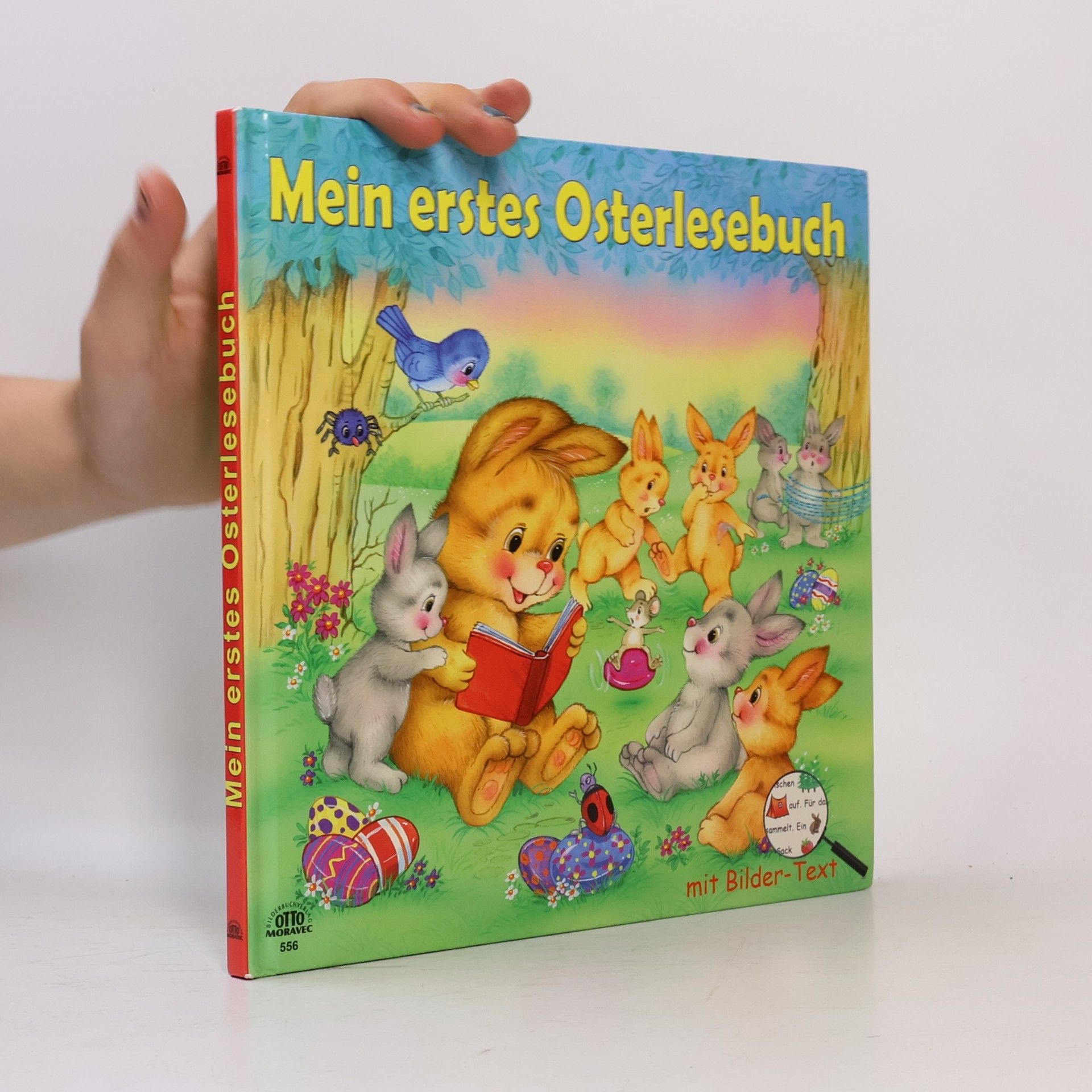 Auteurscollectief Mein erstes Osterlesebuch