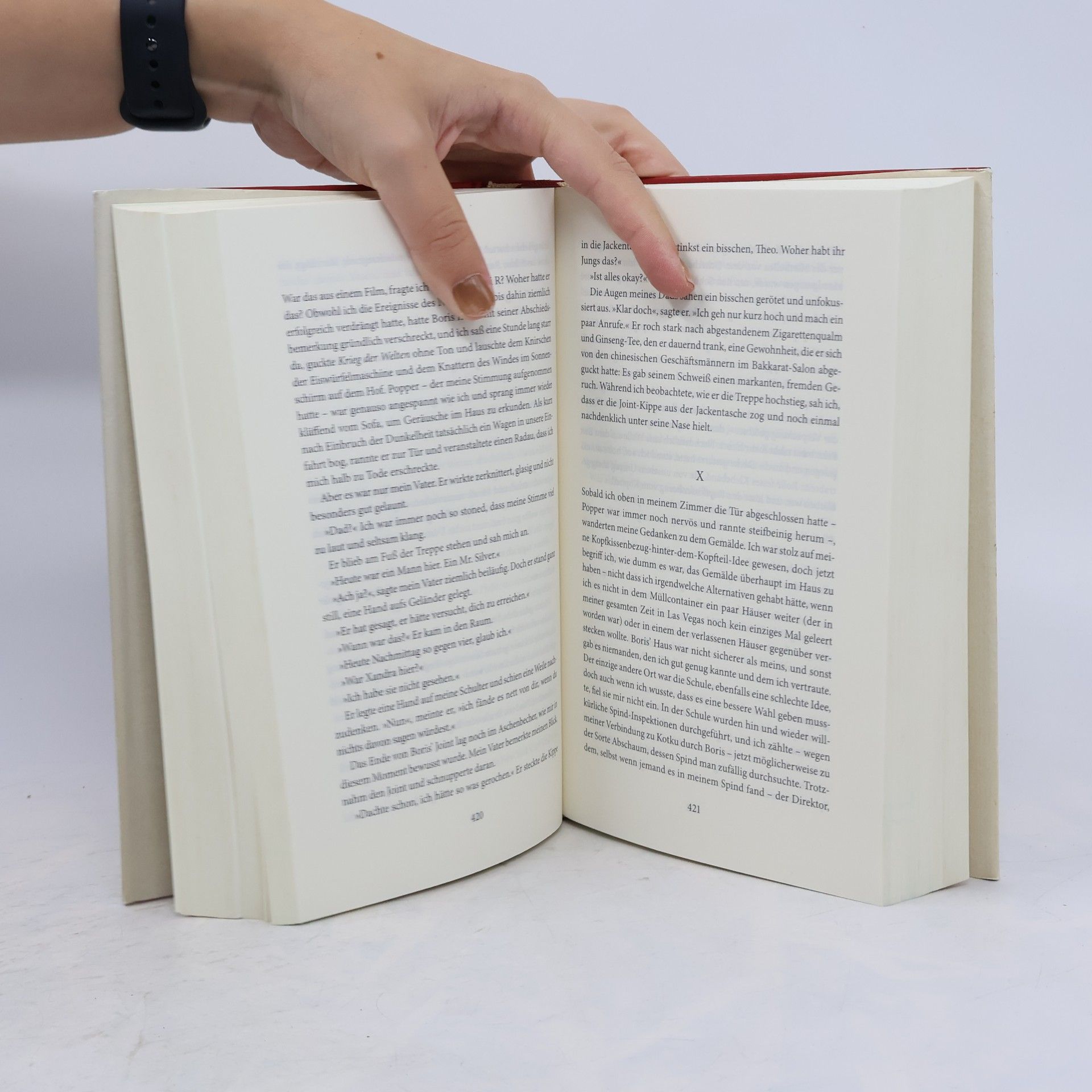 Donna Tartt Der Distelfink