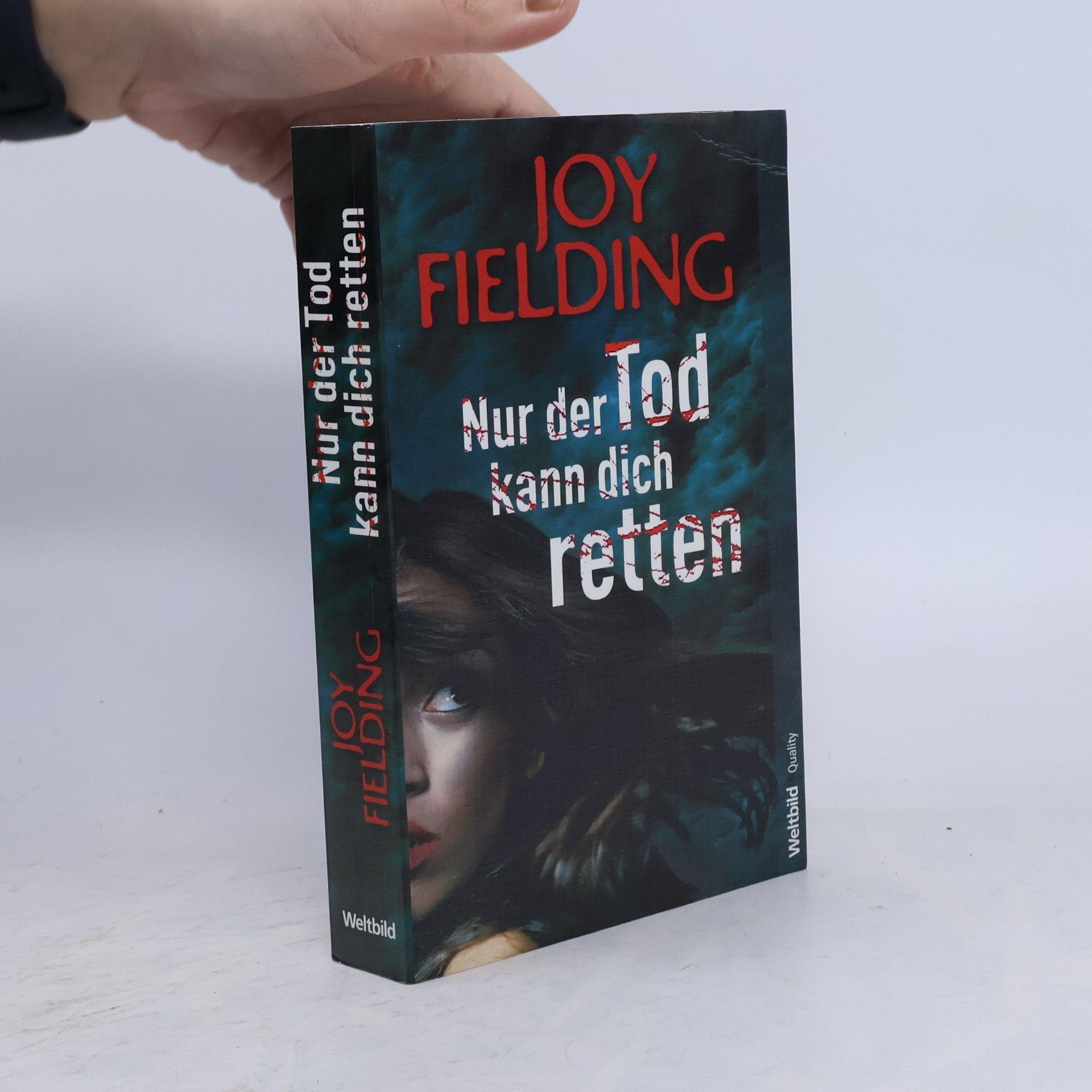 Joy Fielding Nur der Tod kann dich retten