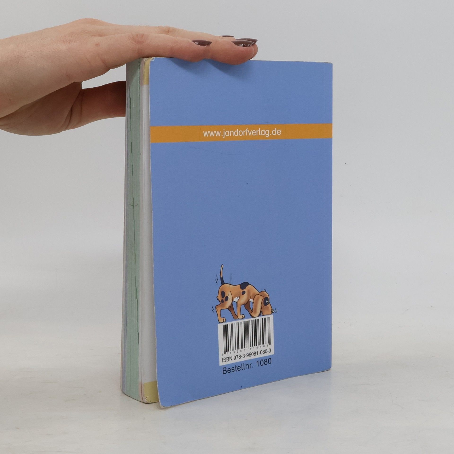 Wörterbuch für die Grundschule - mit Englischteil