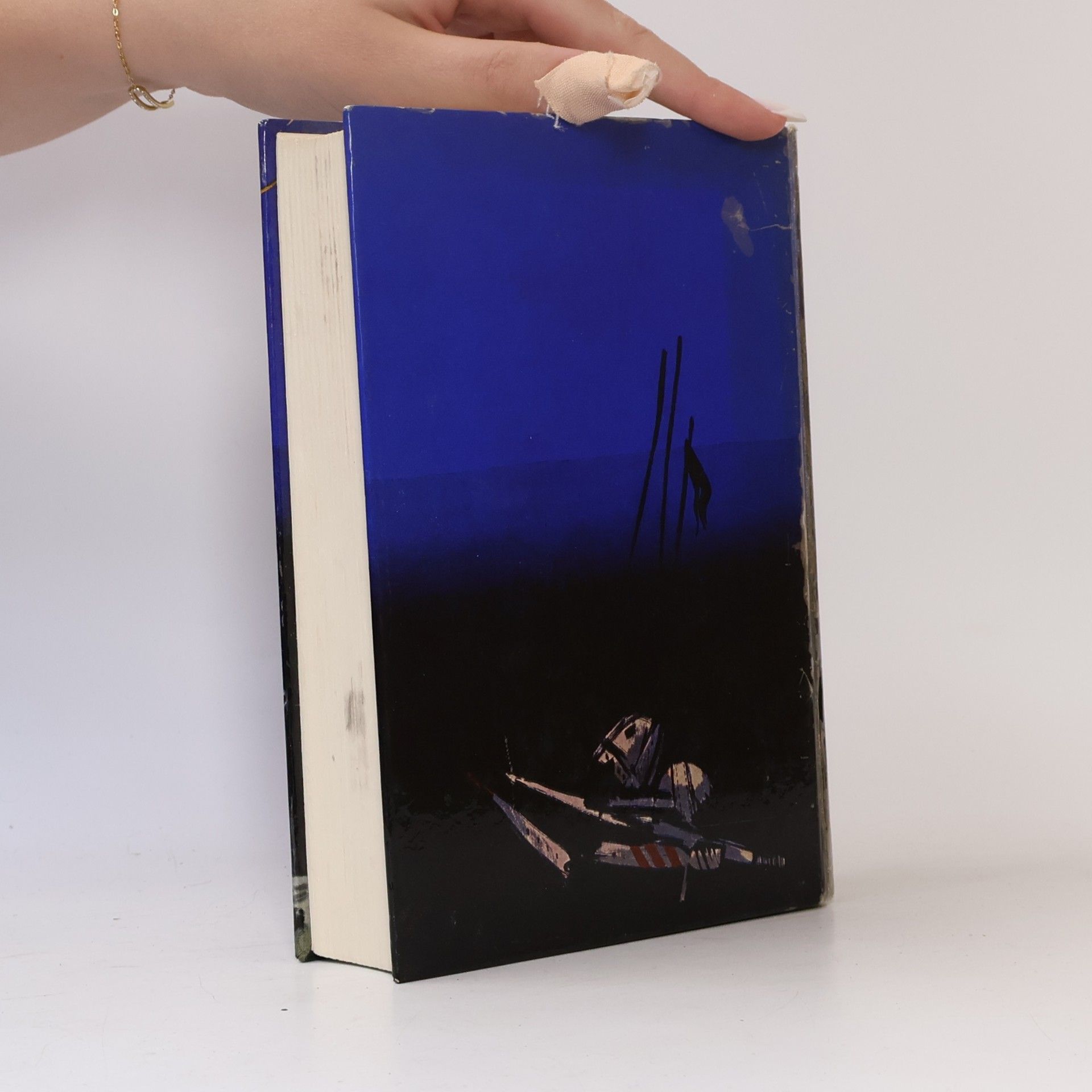 Various authors Die Nibelungen