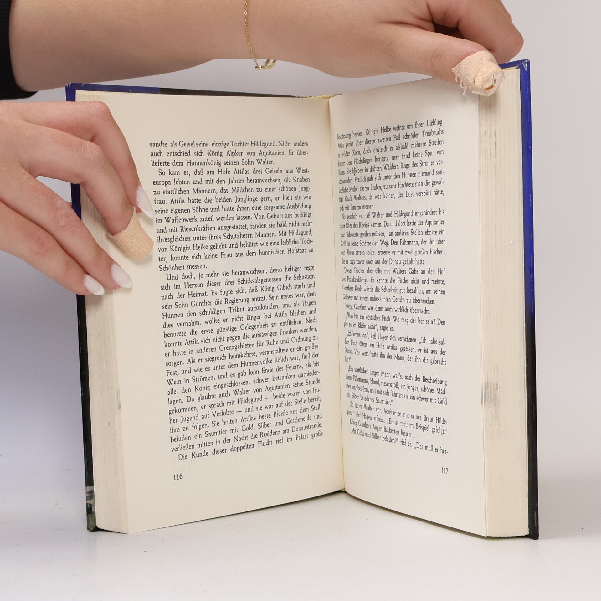 Various authors Die Nibelungen