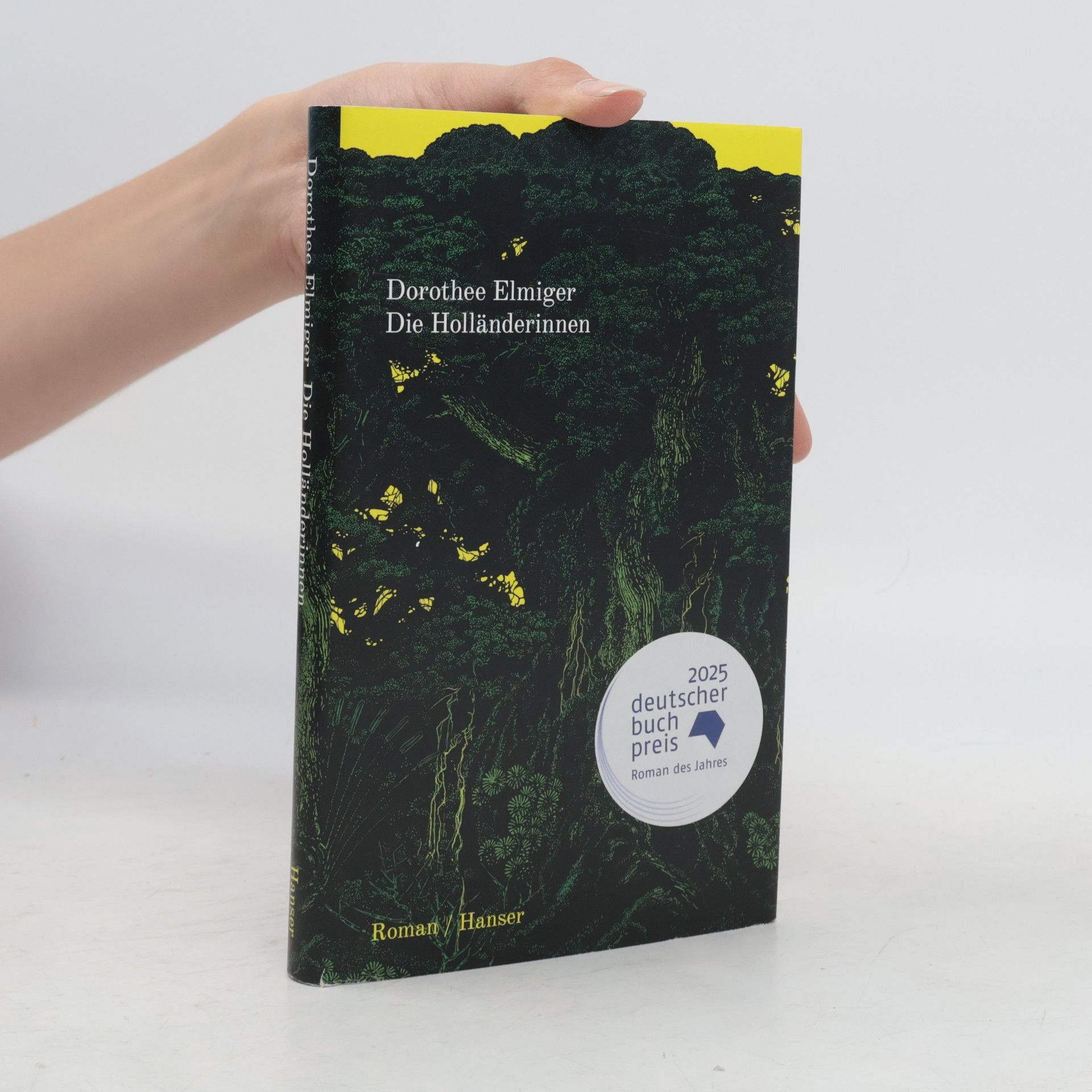 Dorothee Elmiger Die Holländerinnen
