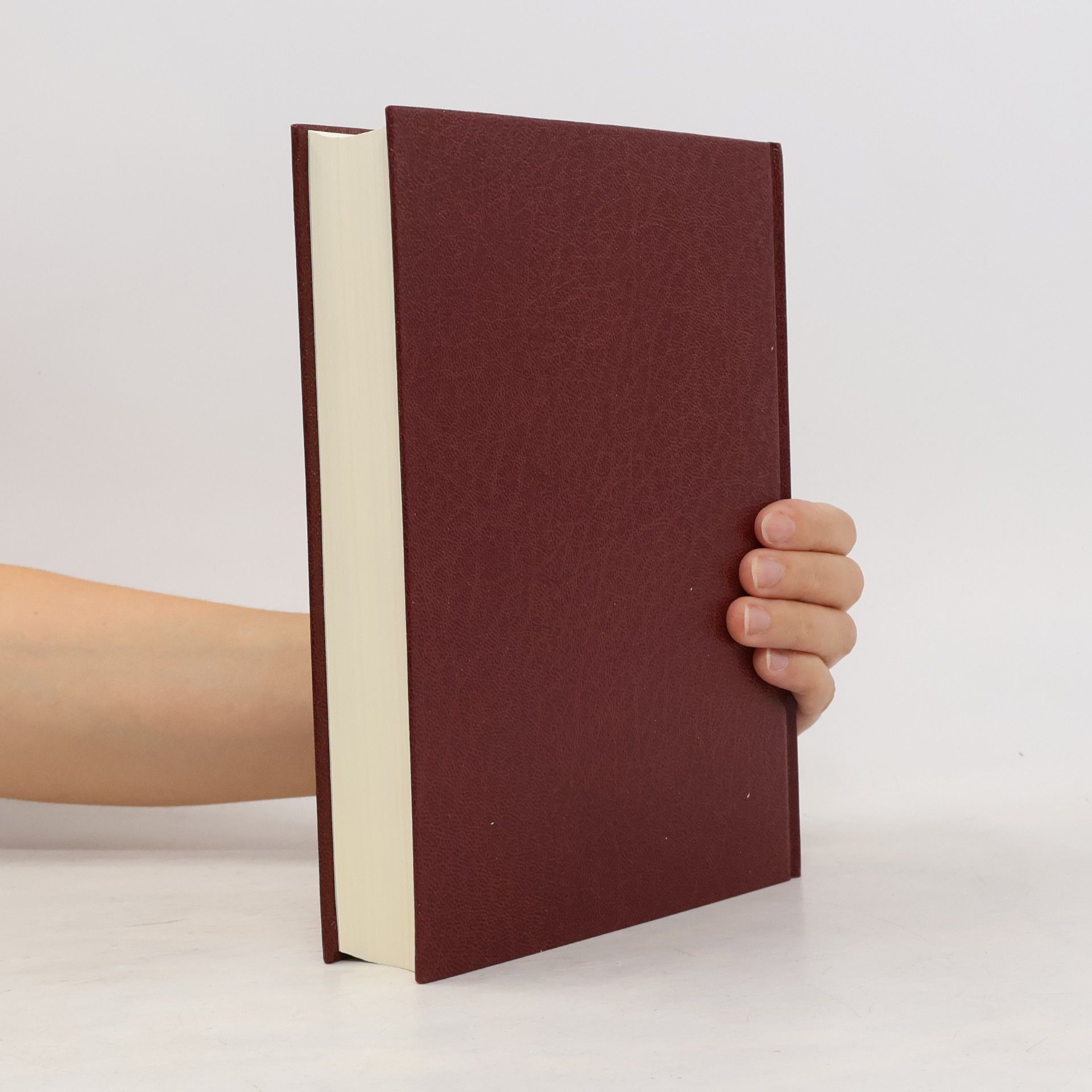 Collectif d'auteurs Einheitsübersetzung der Heiligen Schrift. Die Bibel