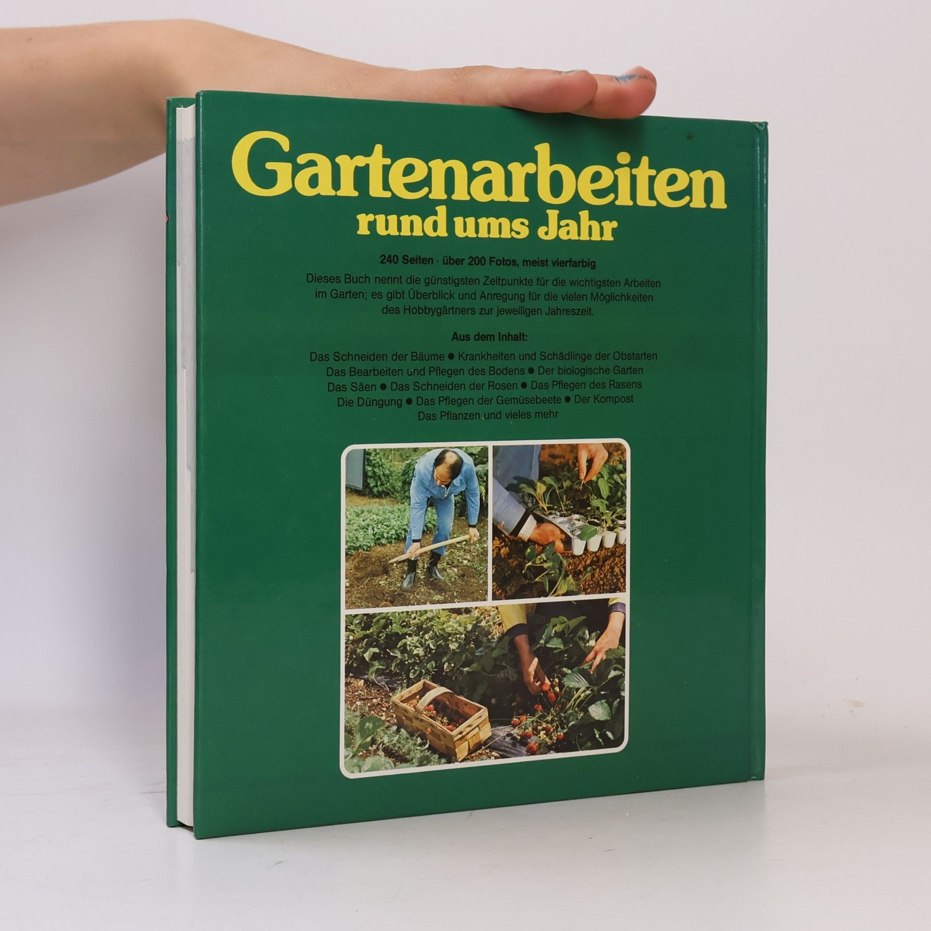 Rolf Bacher Gartenarbeiten