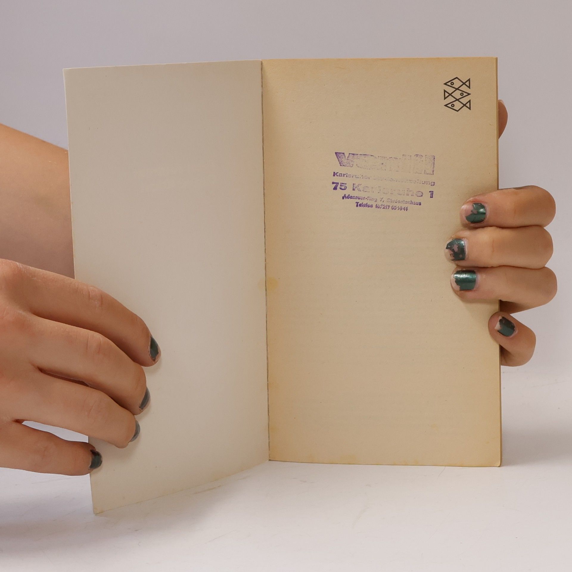 Peter-Andreas Mothes Die phantastische Wissenschaft