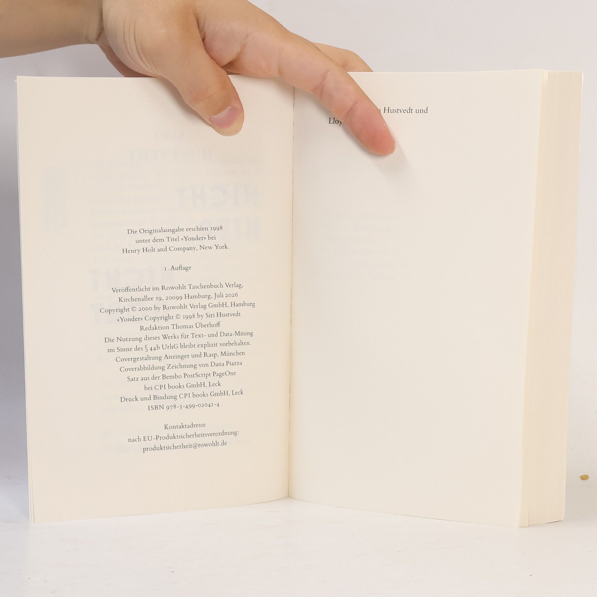 Siri Hustvedt Nicht hier, nicht dort