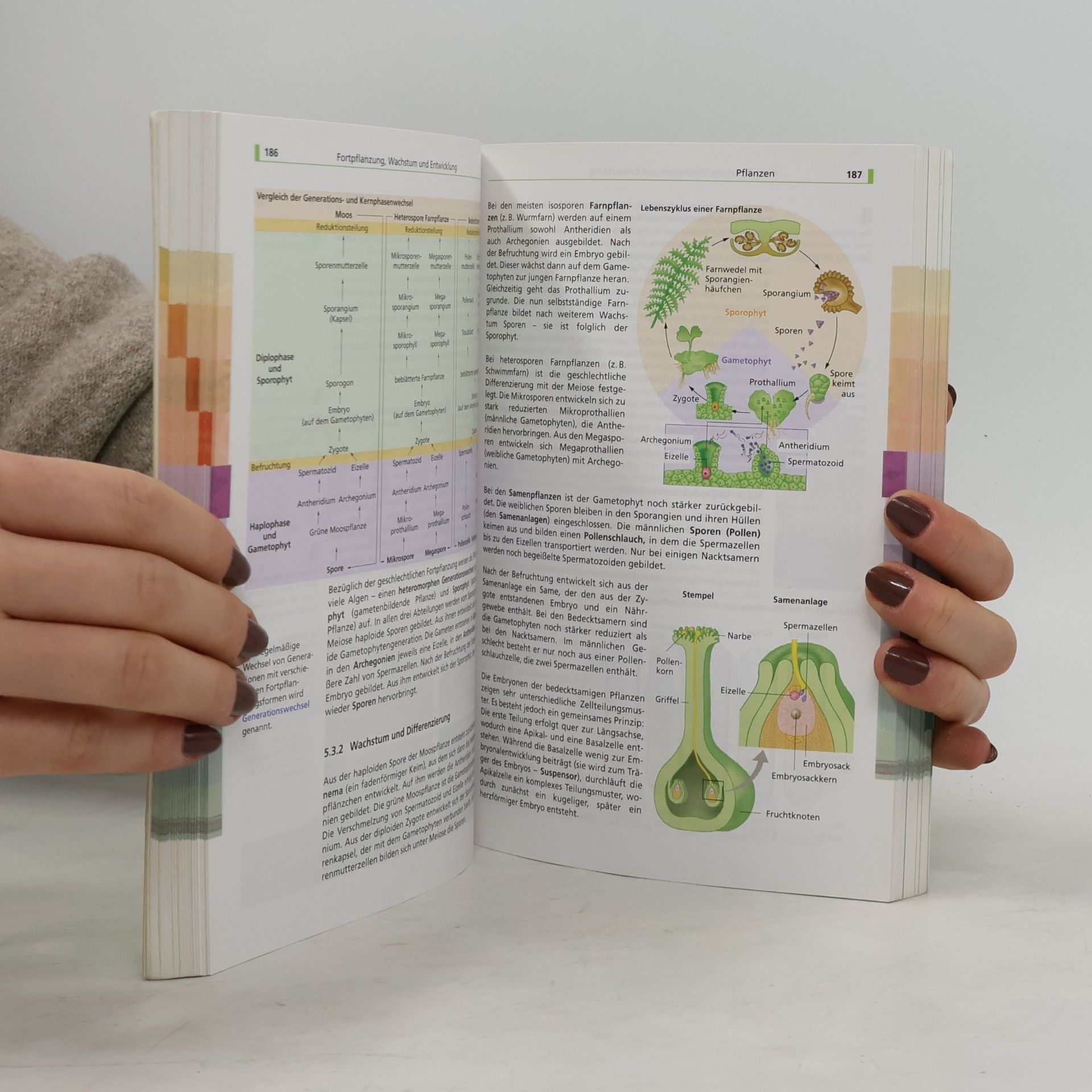 Autorenkollektiv Abiturwissen : Biologie