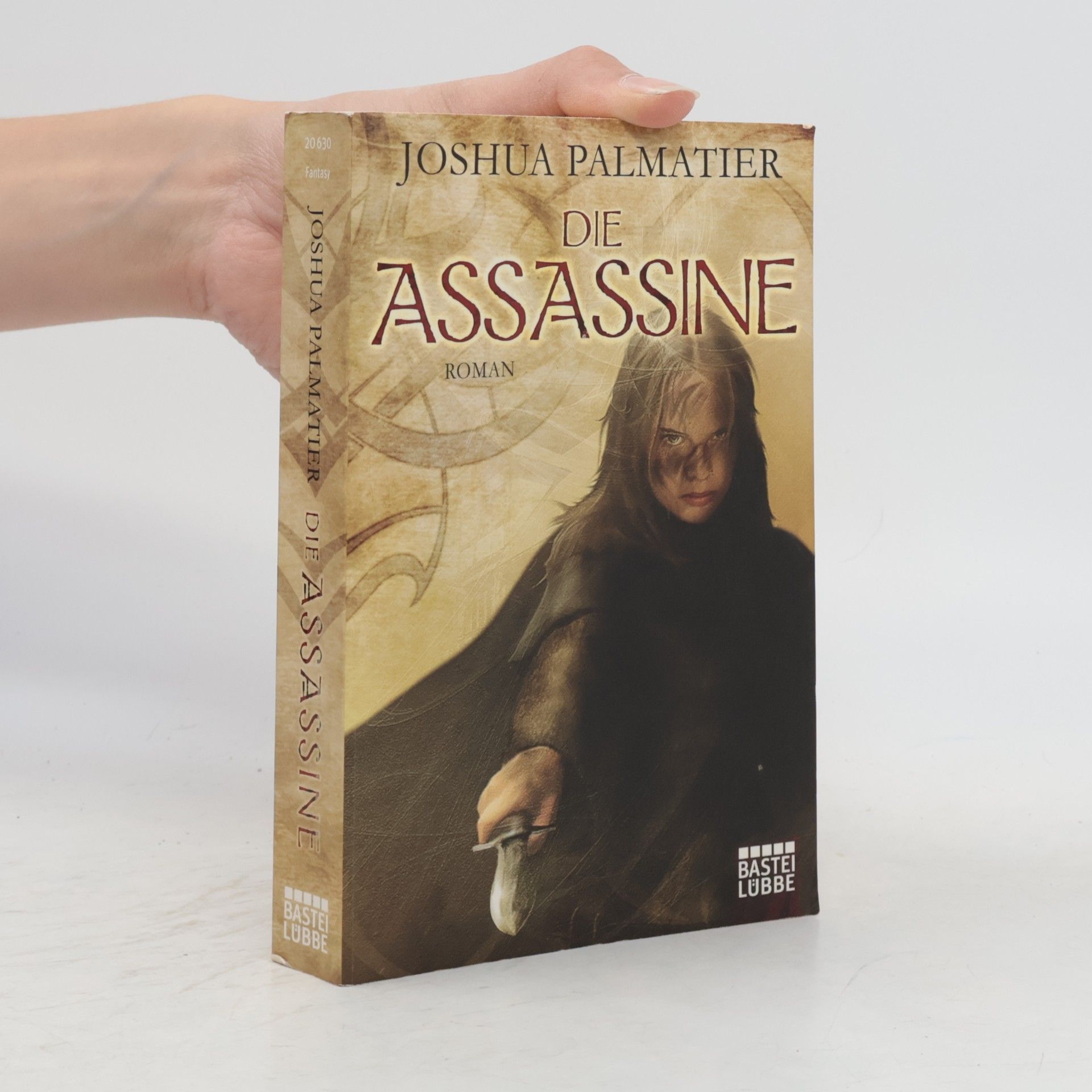 Joshua Palmatier Die Assassine