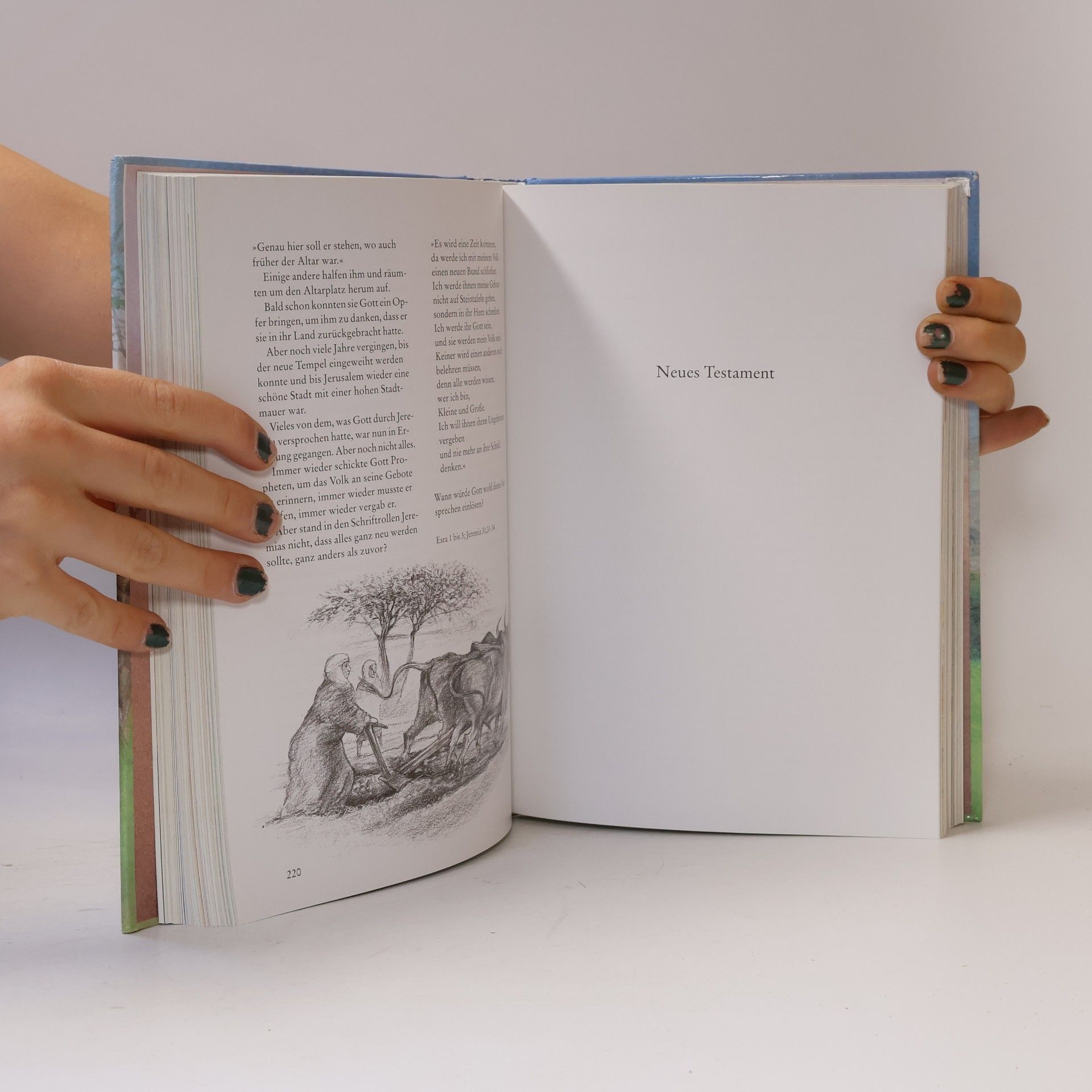 Eckart Zur Nieden Kinderbibel