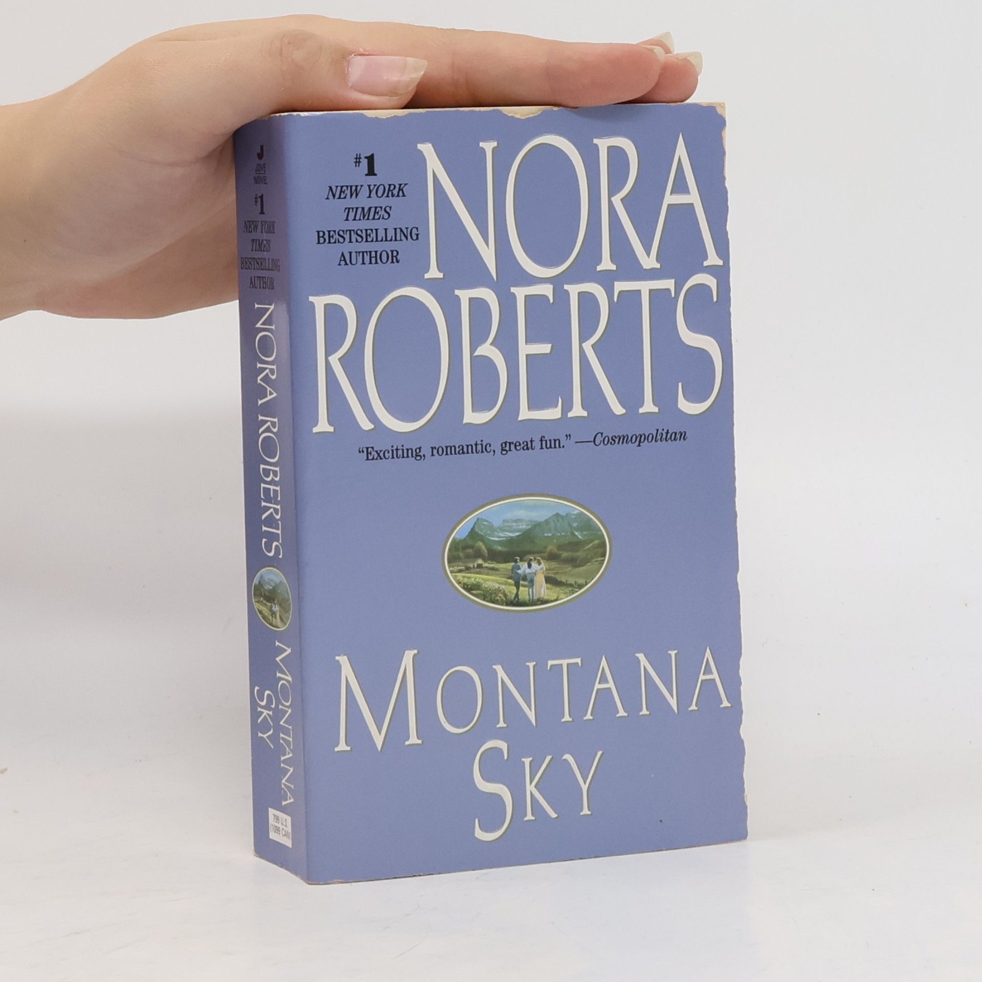 Nora Roberts Montana Sky