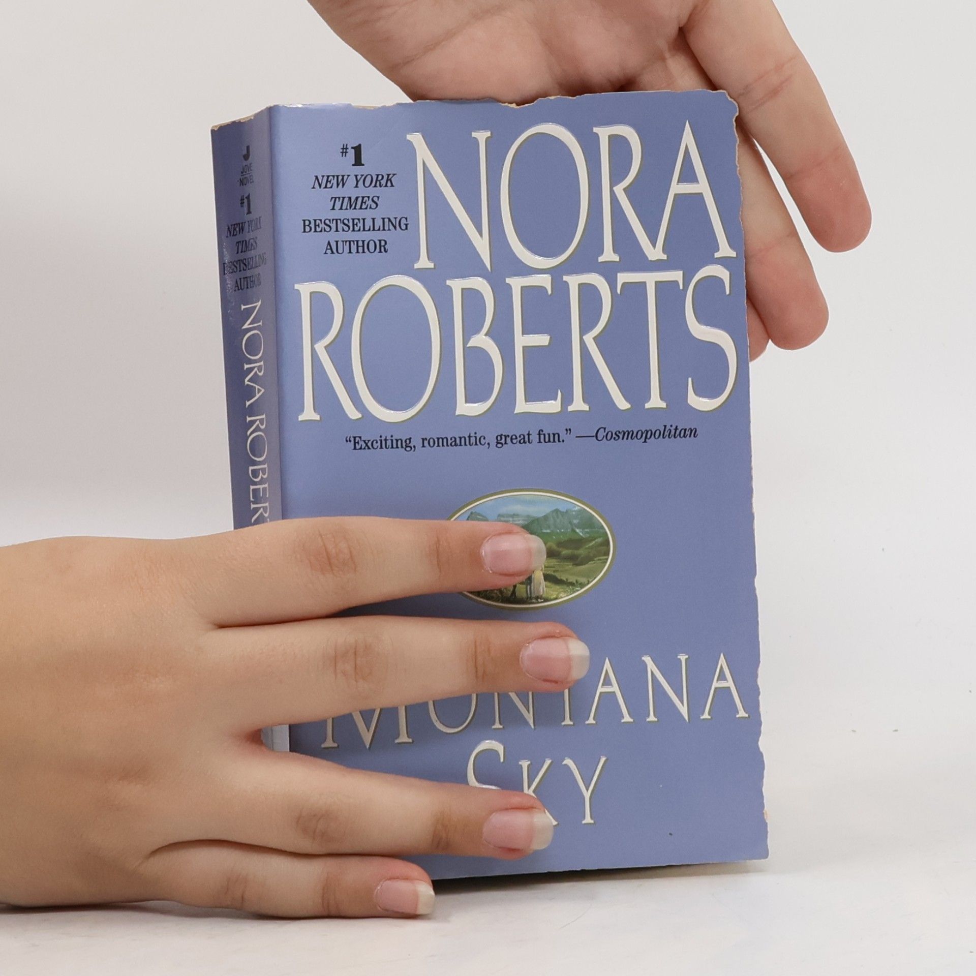 Nora Roberts Montana Sky