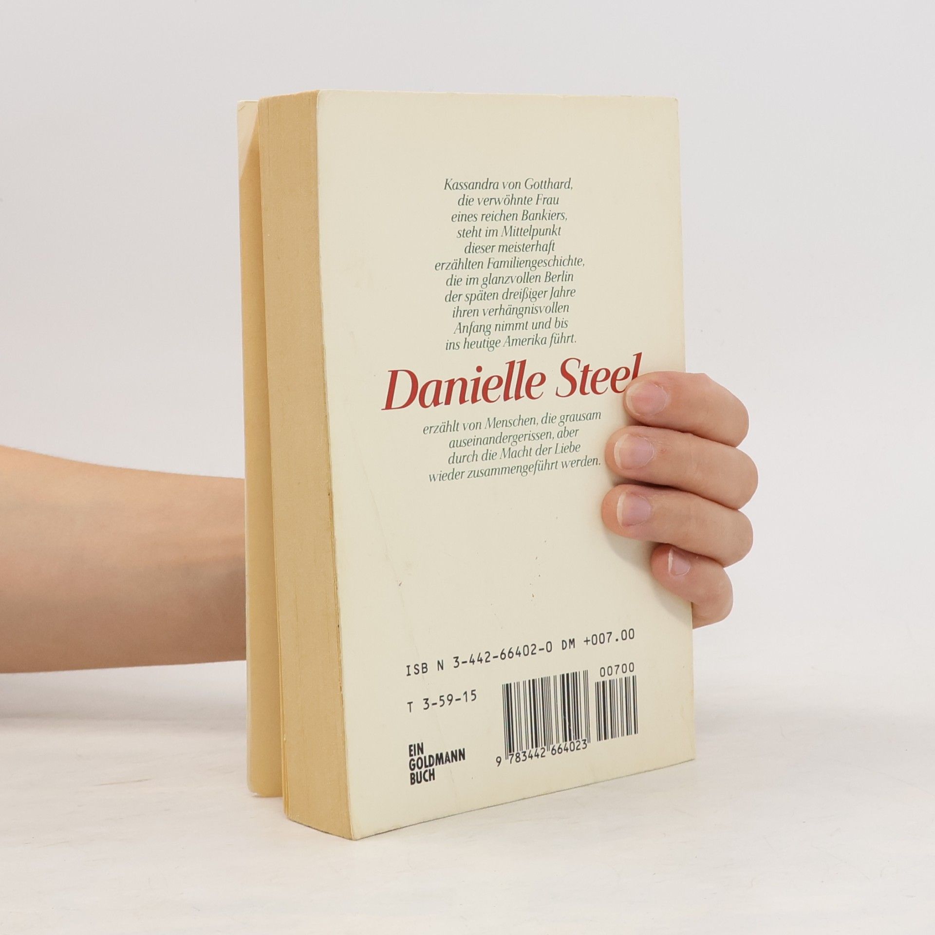 Danielle Steelová Der Ring aus Stein