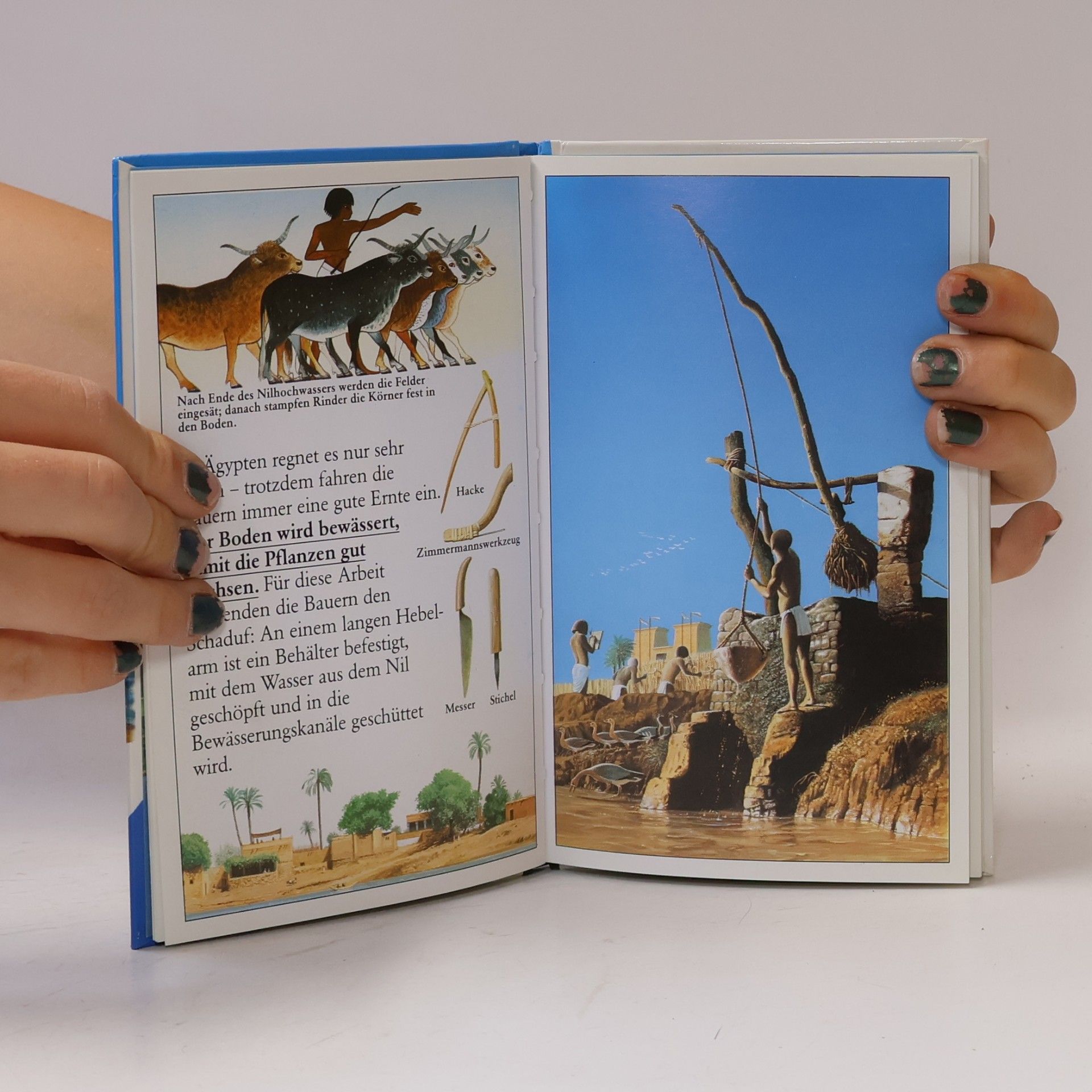 Corinne Courtalon Ägypten zur Zeit der Pharaonen
