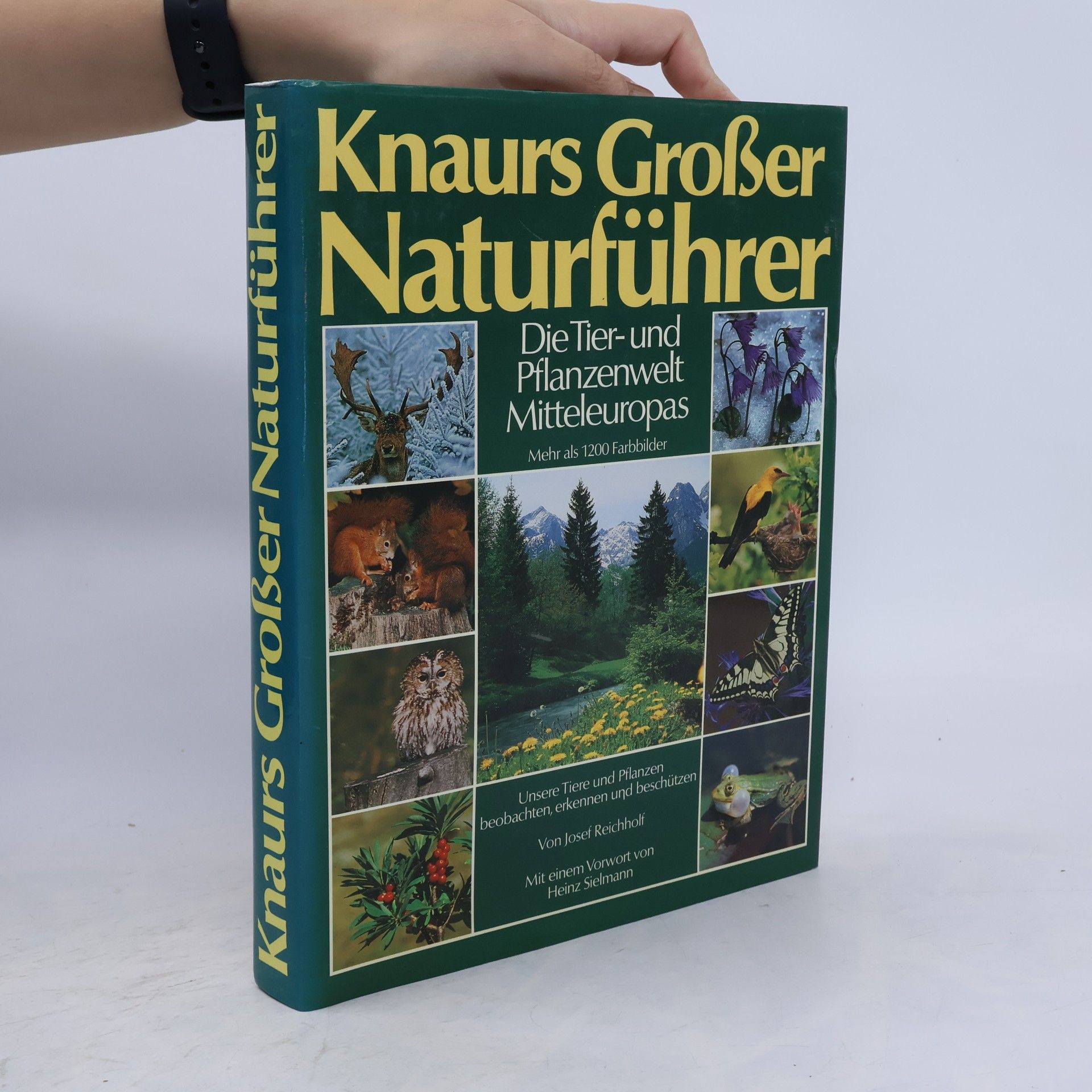 Knaurs Großer Naturführer. Die Tier- und Pflanzenwelt Mitteleuropas