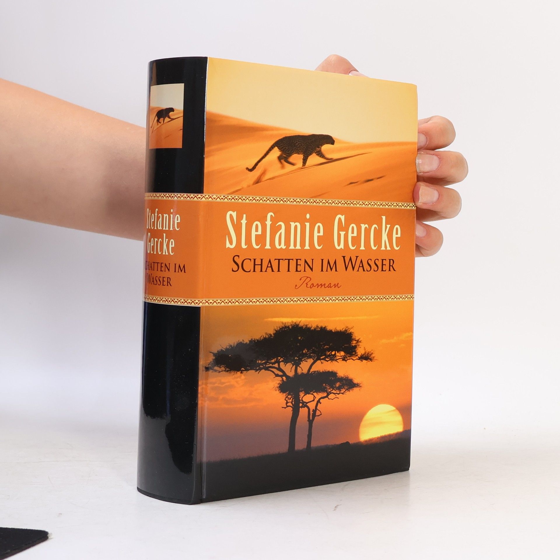 Stefanie Gercke Schatten im Wasser