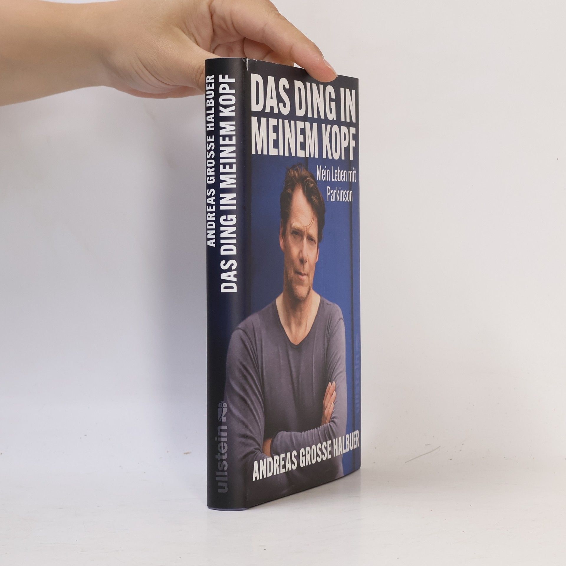 Andreas Große Halbuer Das Ding in meinem Kopf