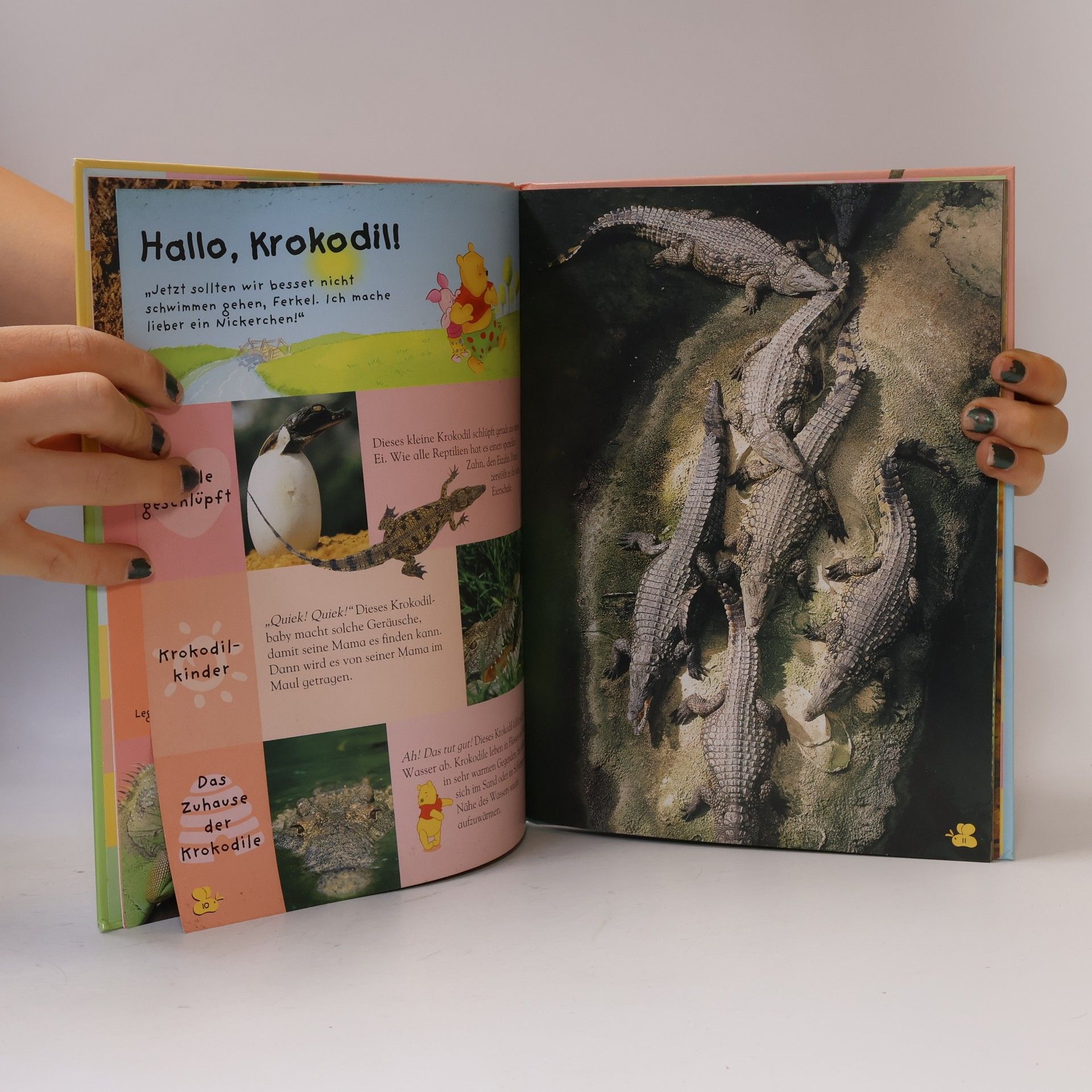 Autorenkollektiv Mein erstes Buch. Der Säugetiere mit Winnie Puuh und seinen Freunden