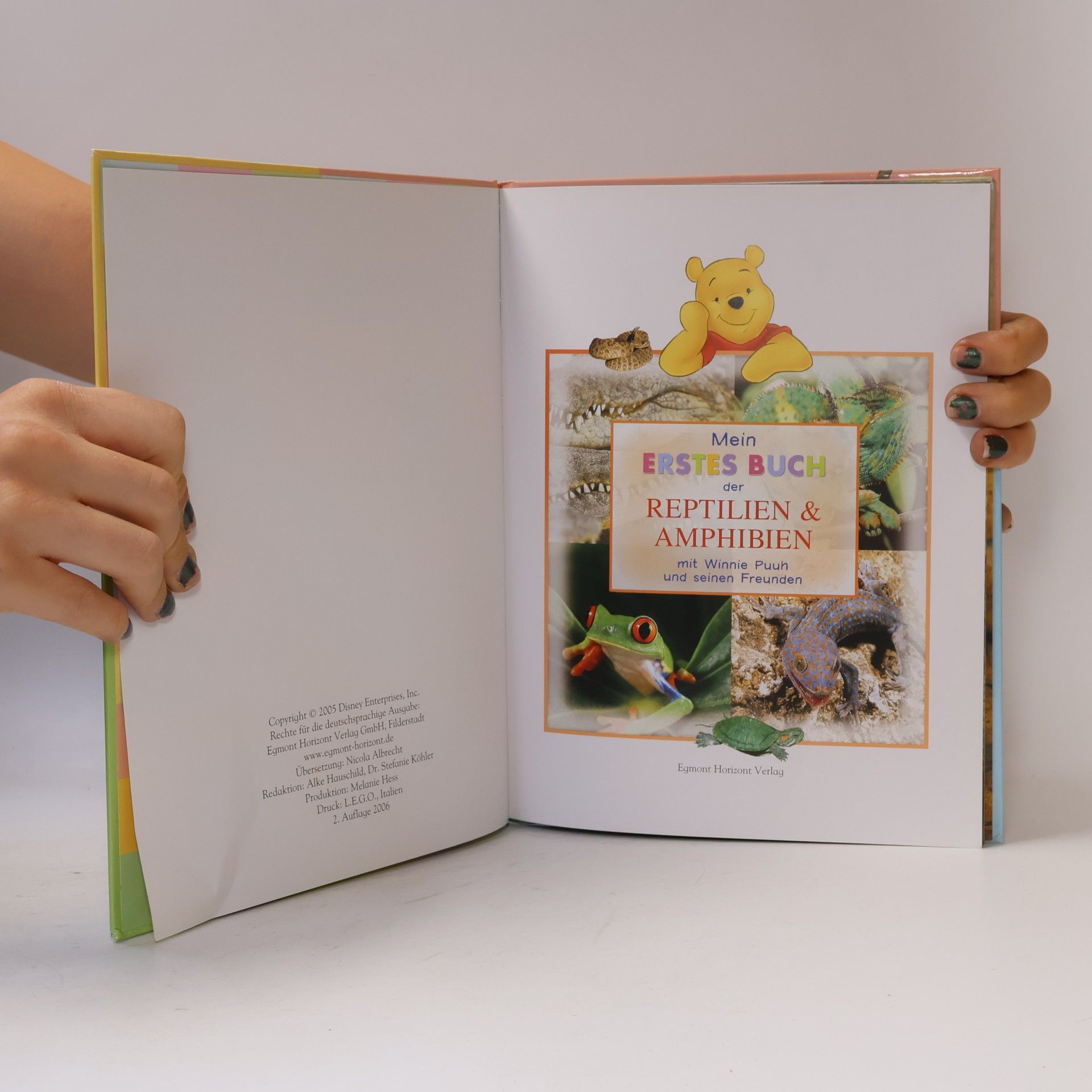 Autorenkollektiv Mein erstes Buch. Der Säugetiere mit Winnie Puuh und seinen Freunden
